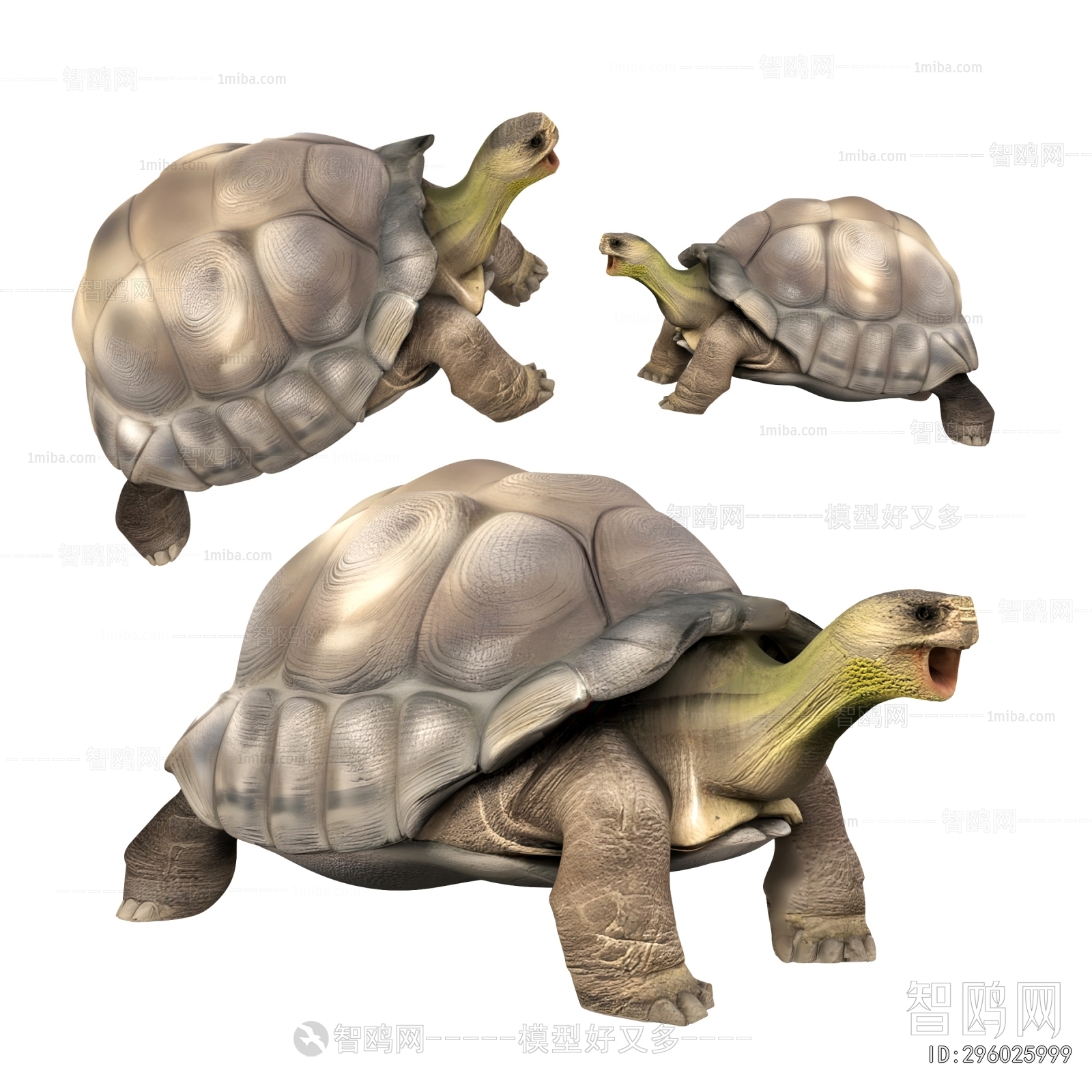 Modern Reptile