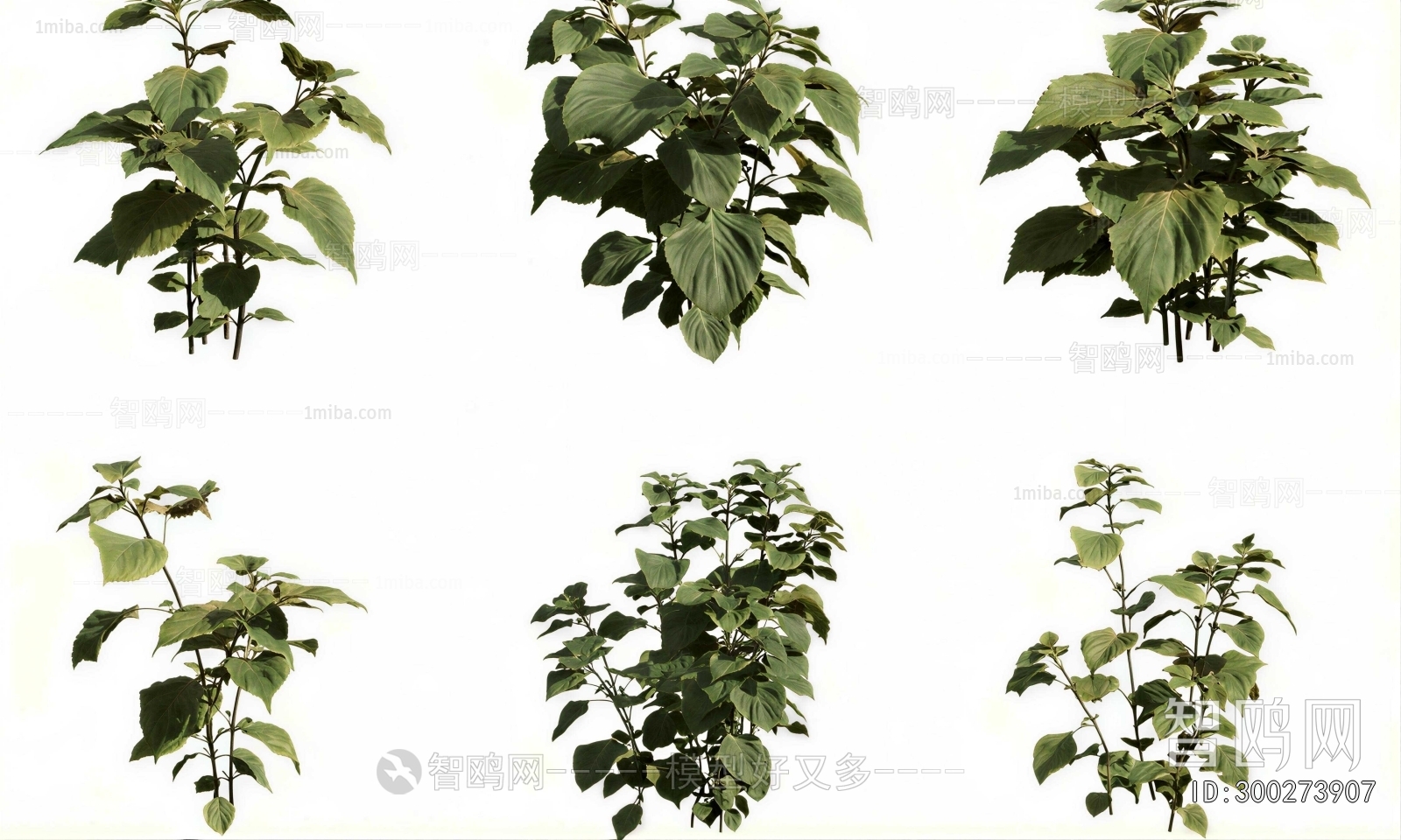 Modern Shrubbery