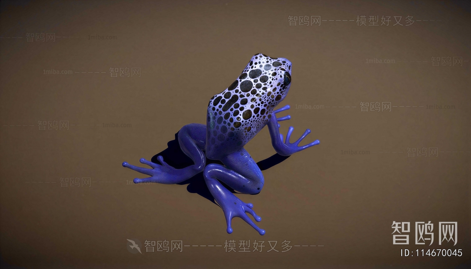Modern Reptile