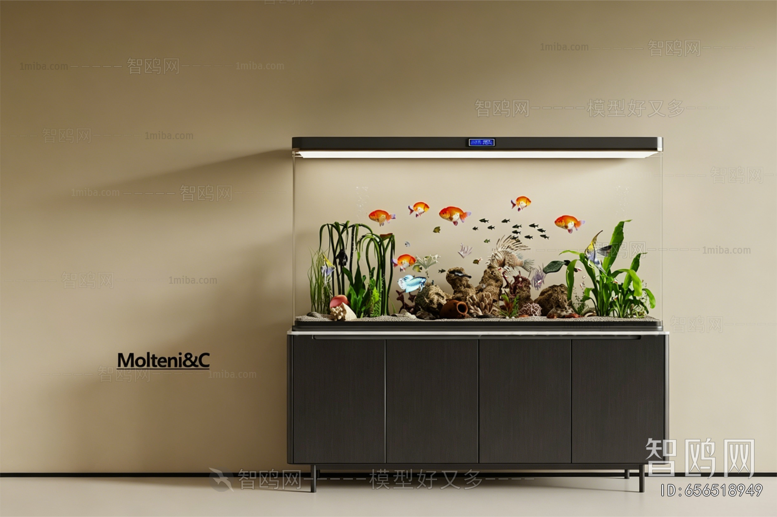Modern Fish Tank