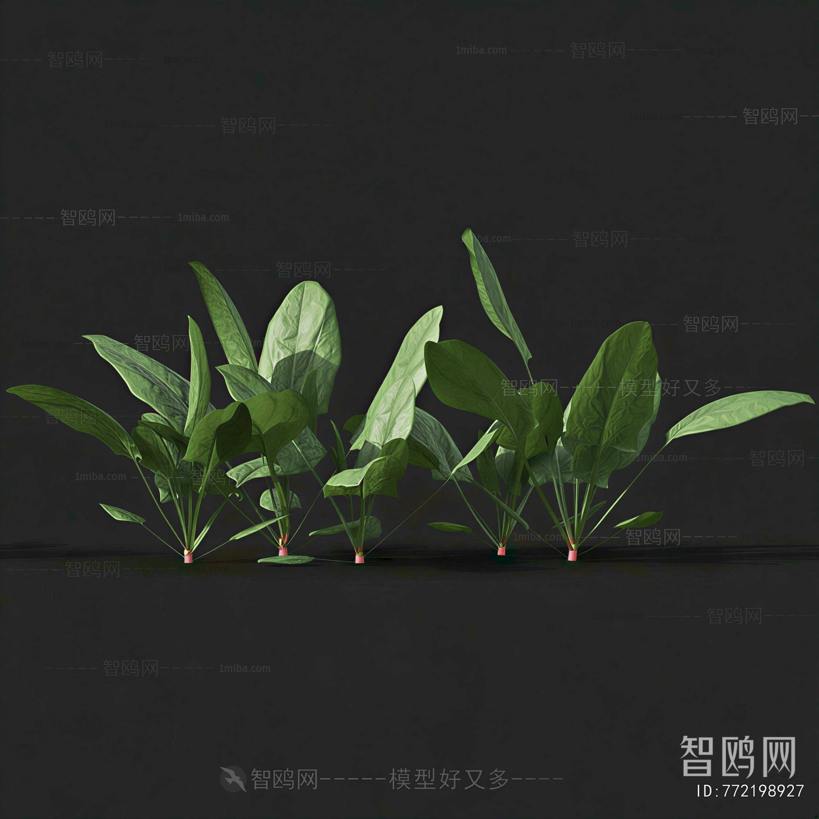 Modern Crop