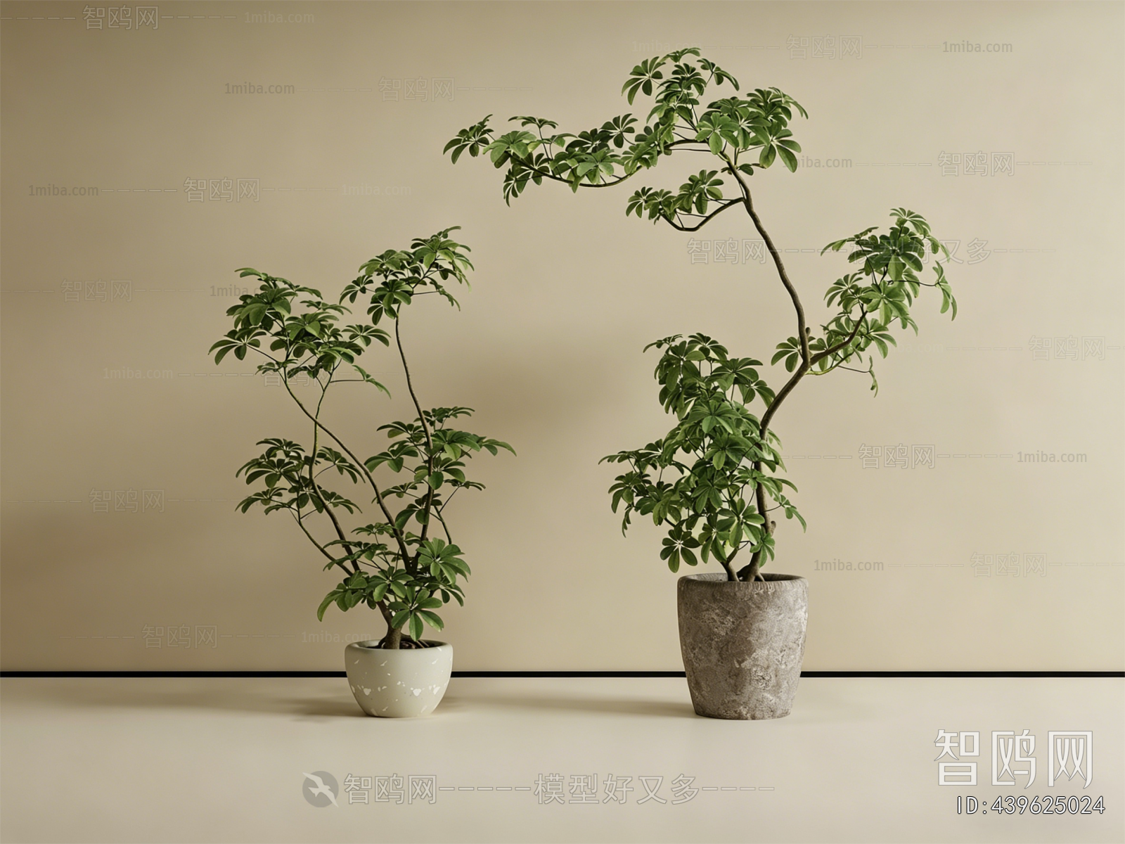 Modern Ground Green Plant Potted Plants