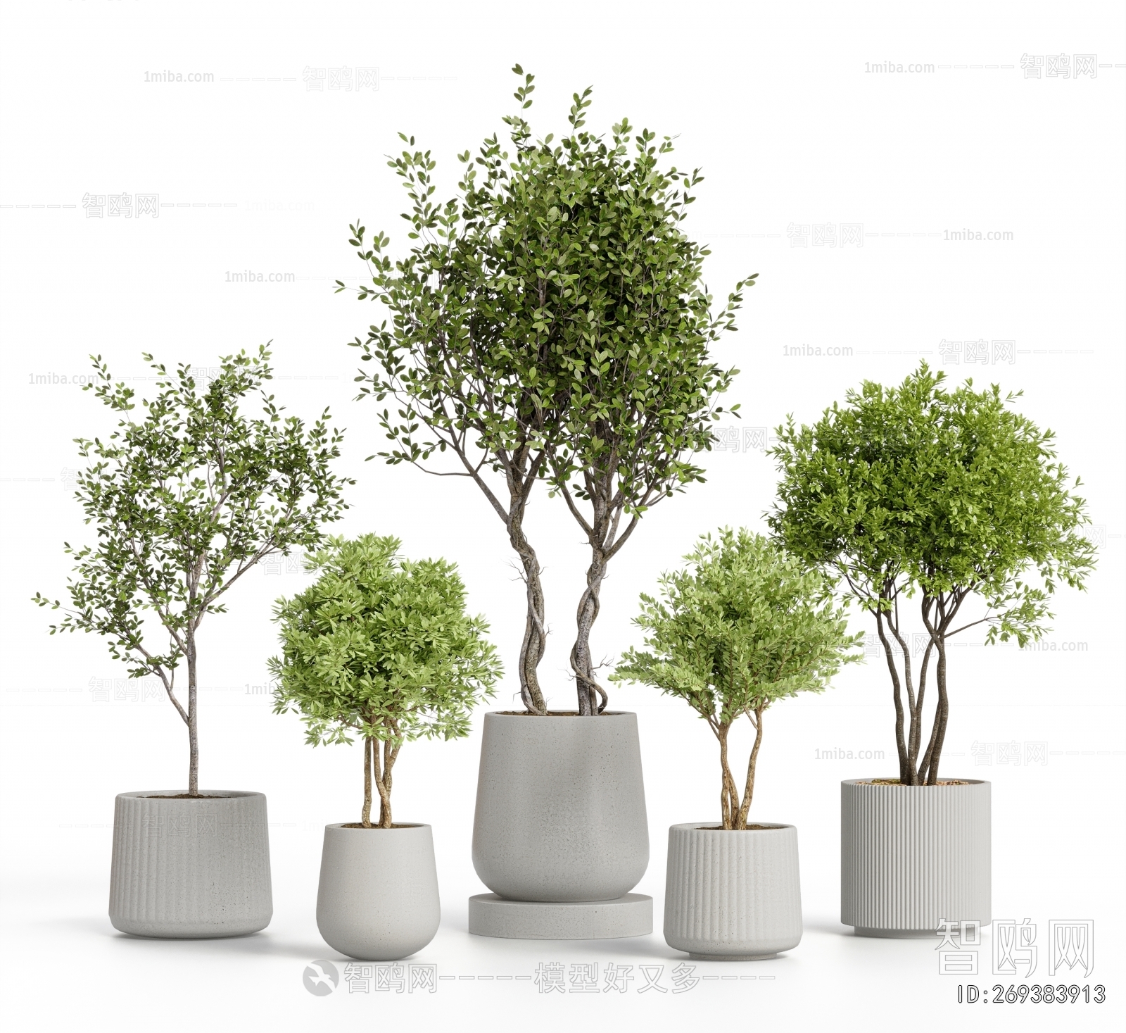 Modern Ground Green Plant Potted Plants