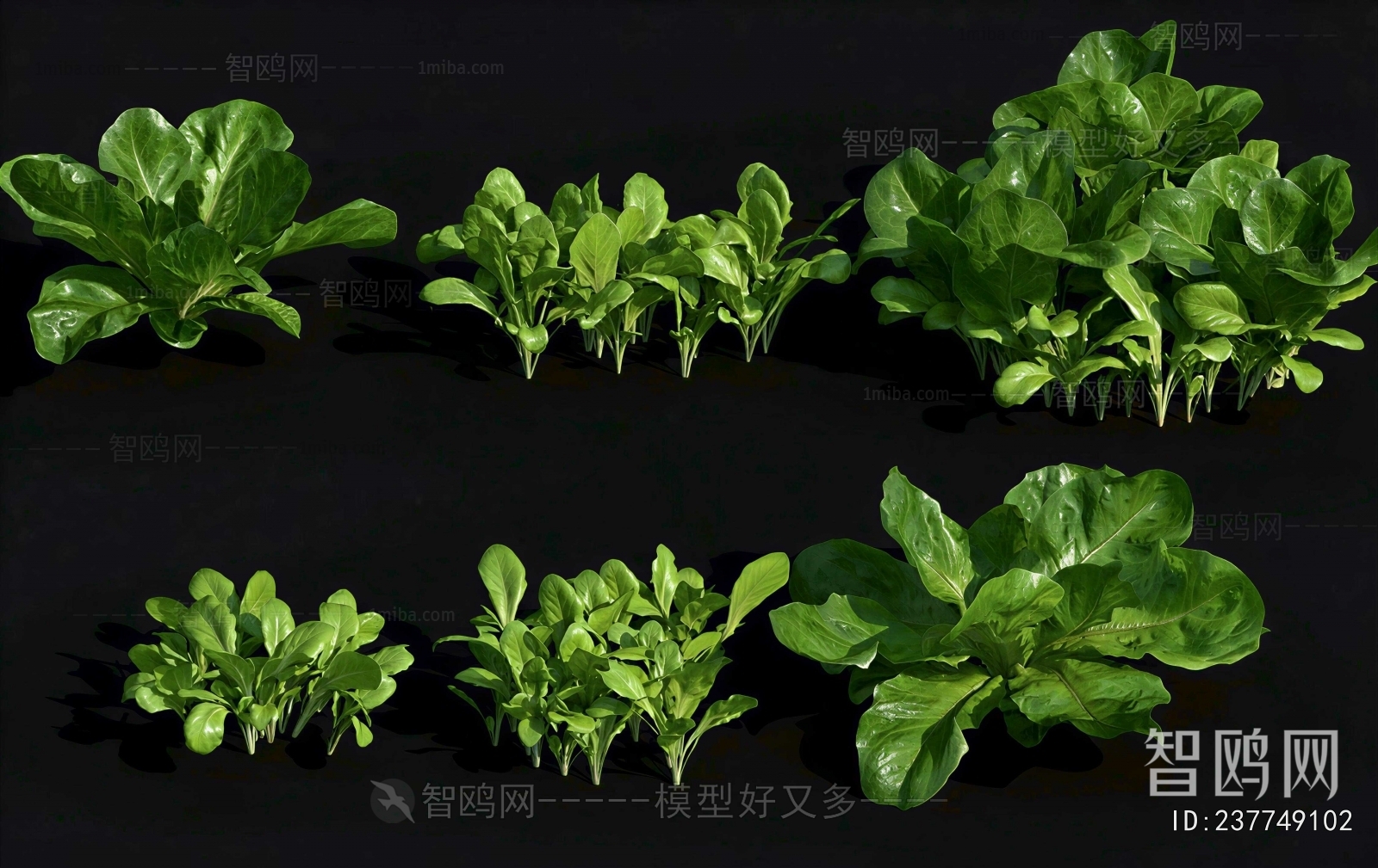 Modern Crop