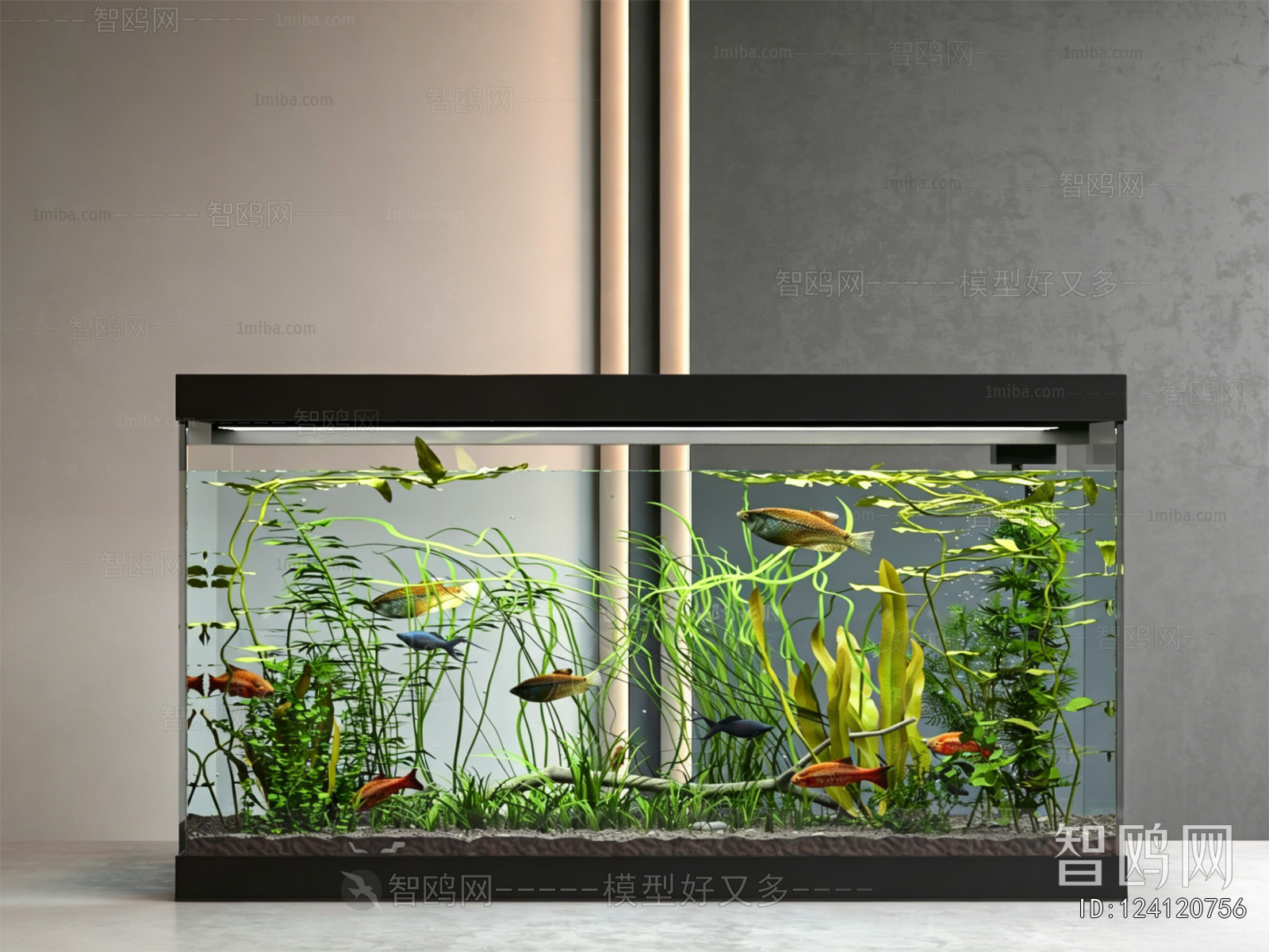 Modern Fish Tank