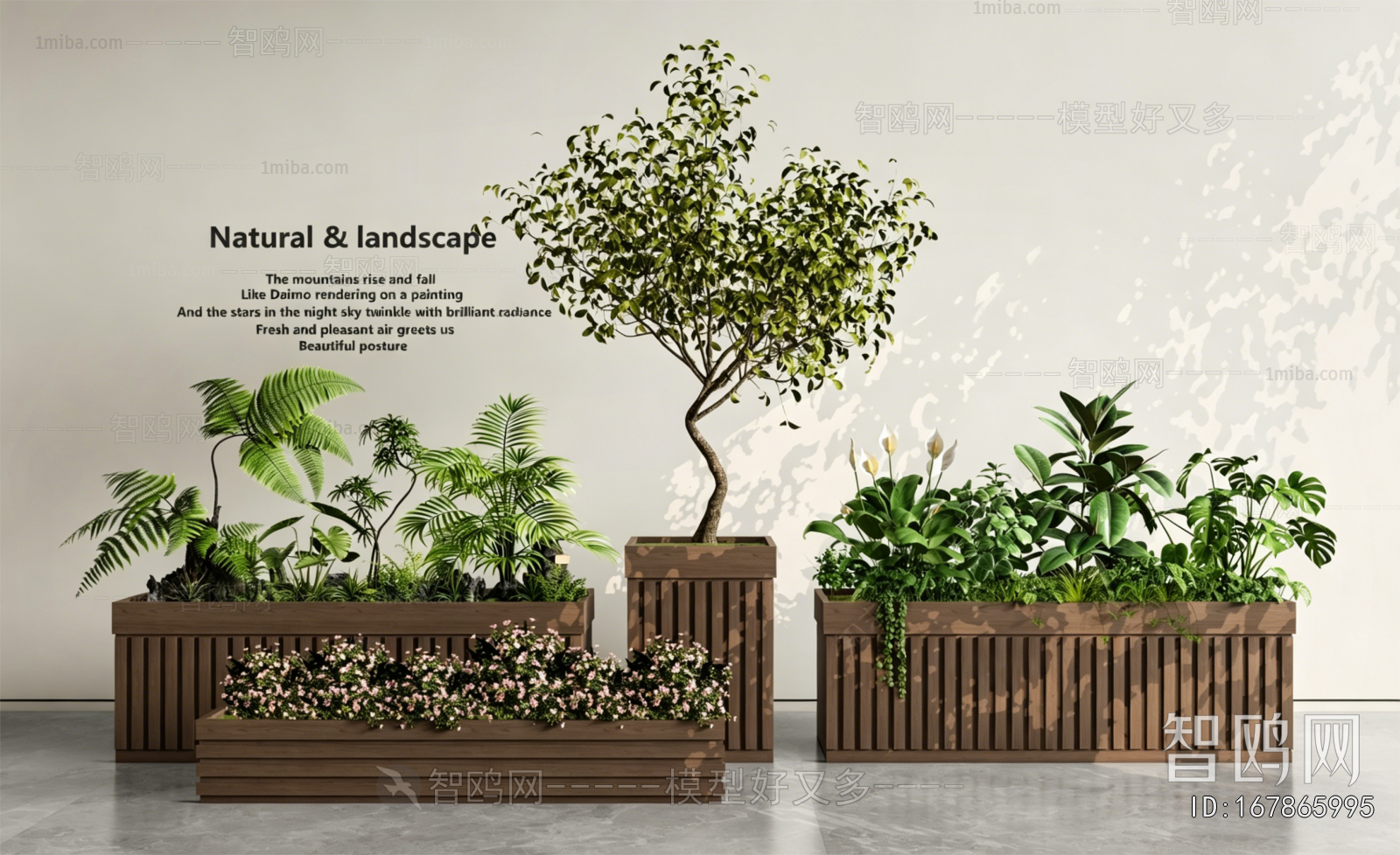 Modern Flower Bed, Flower Bowl, Flower Box