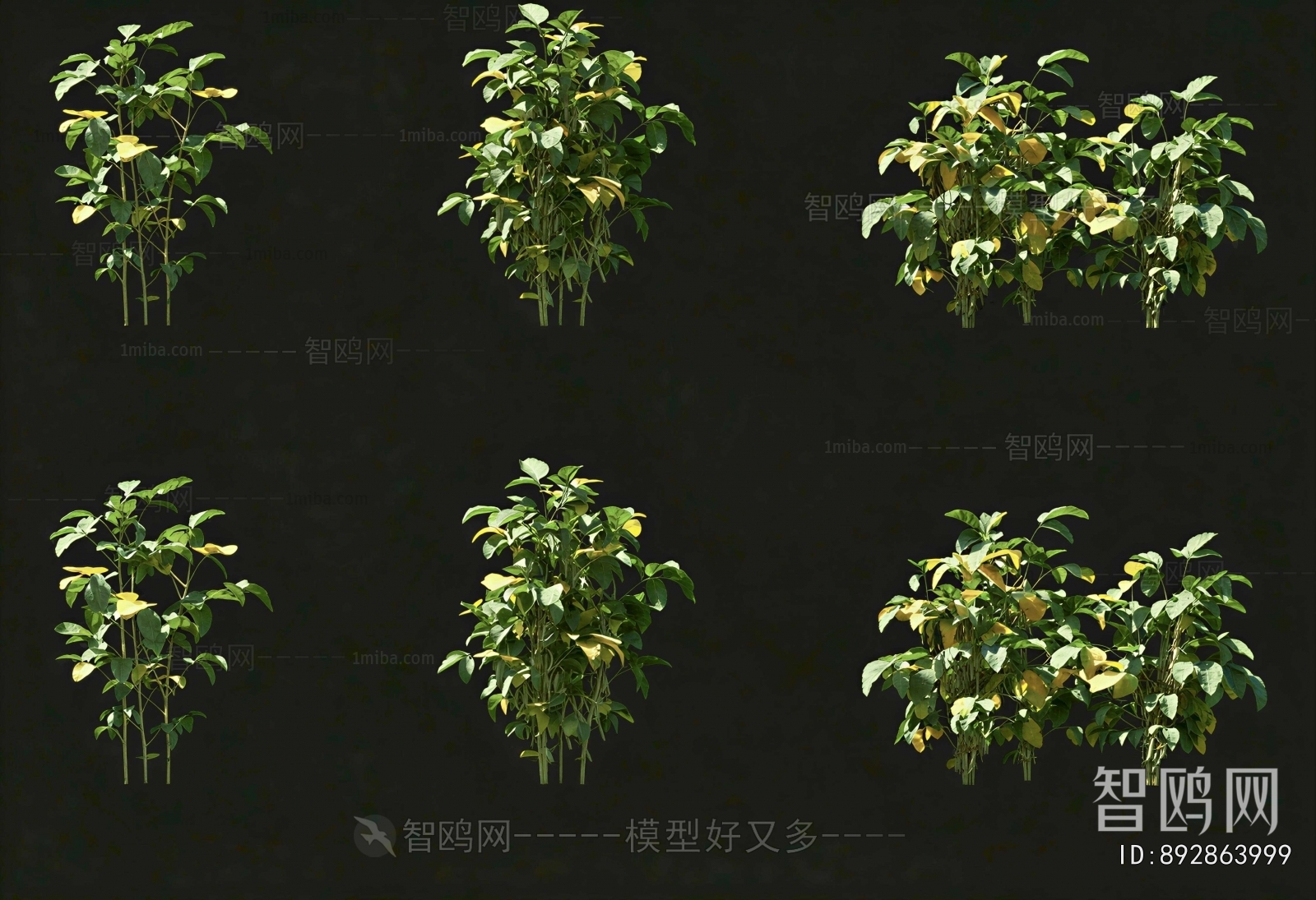 Modern Crop