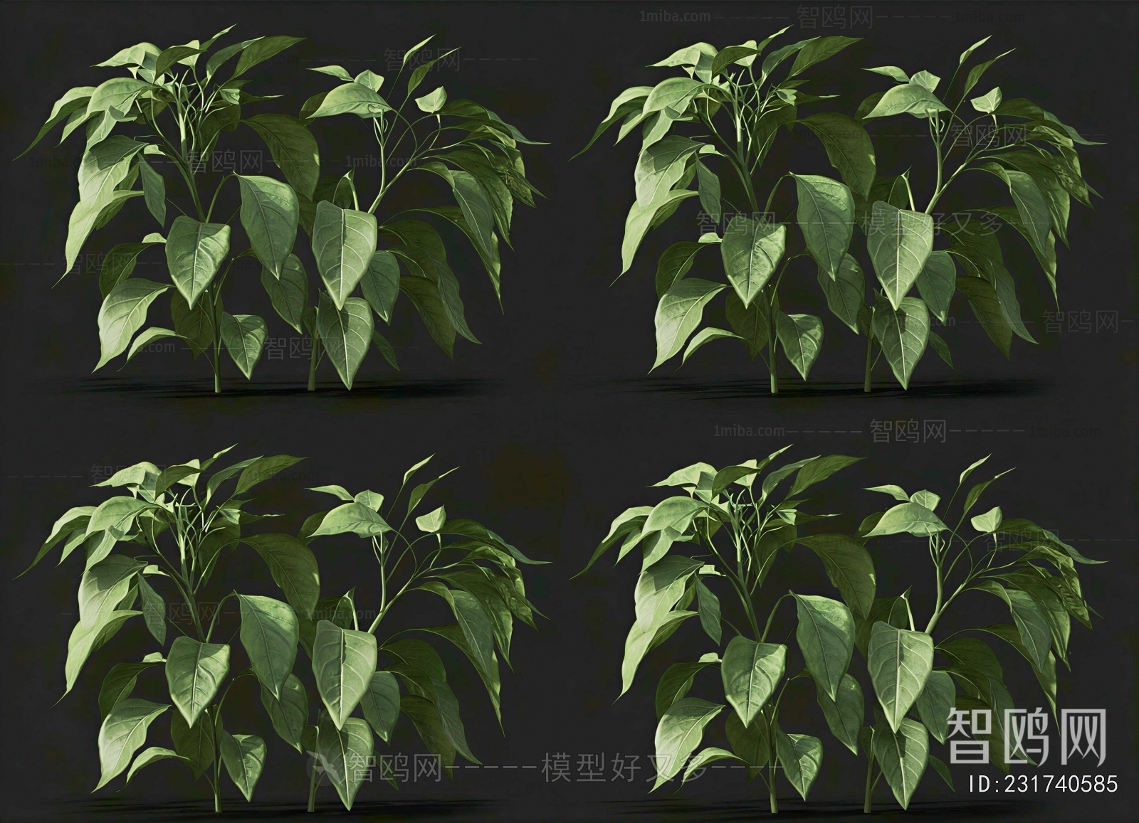 Modern Shrubbery