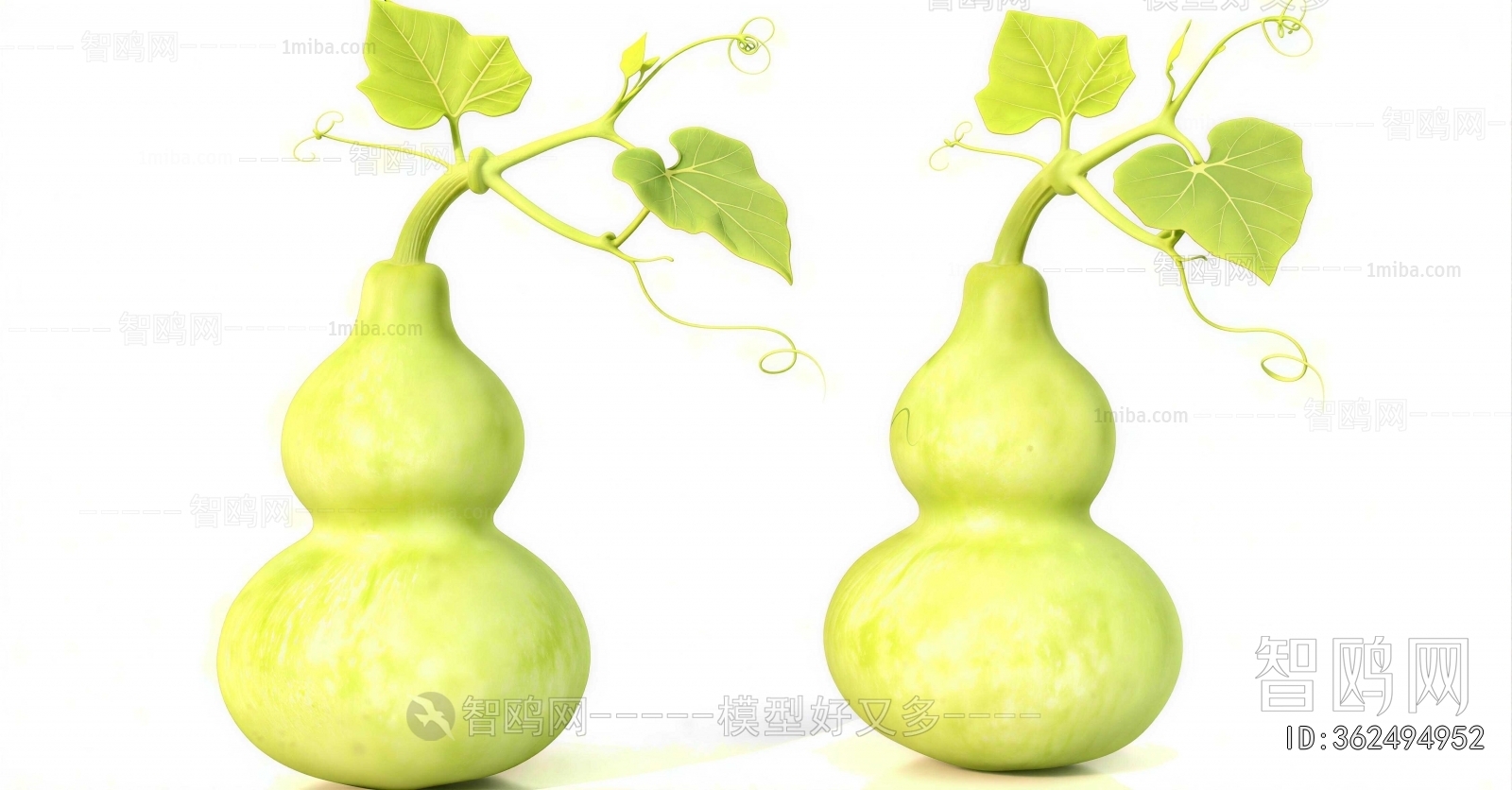 Modern Vegetables
