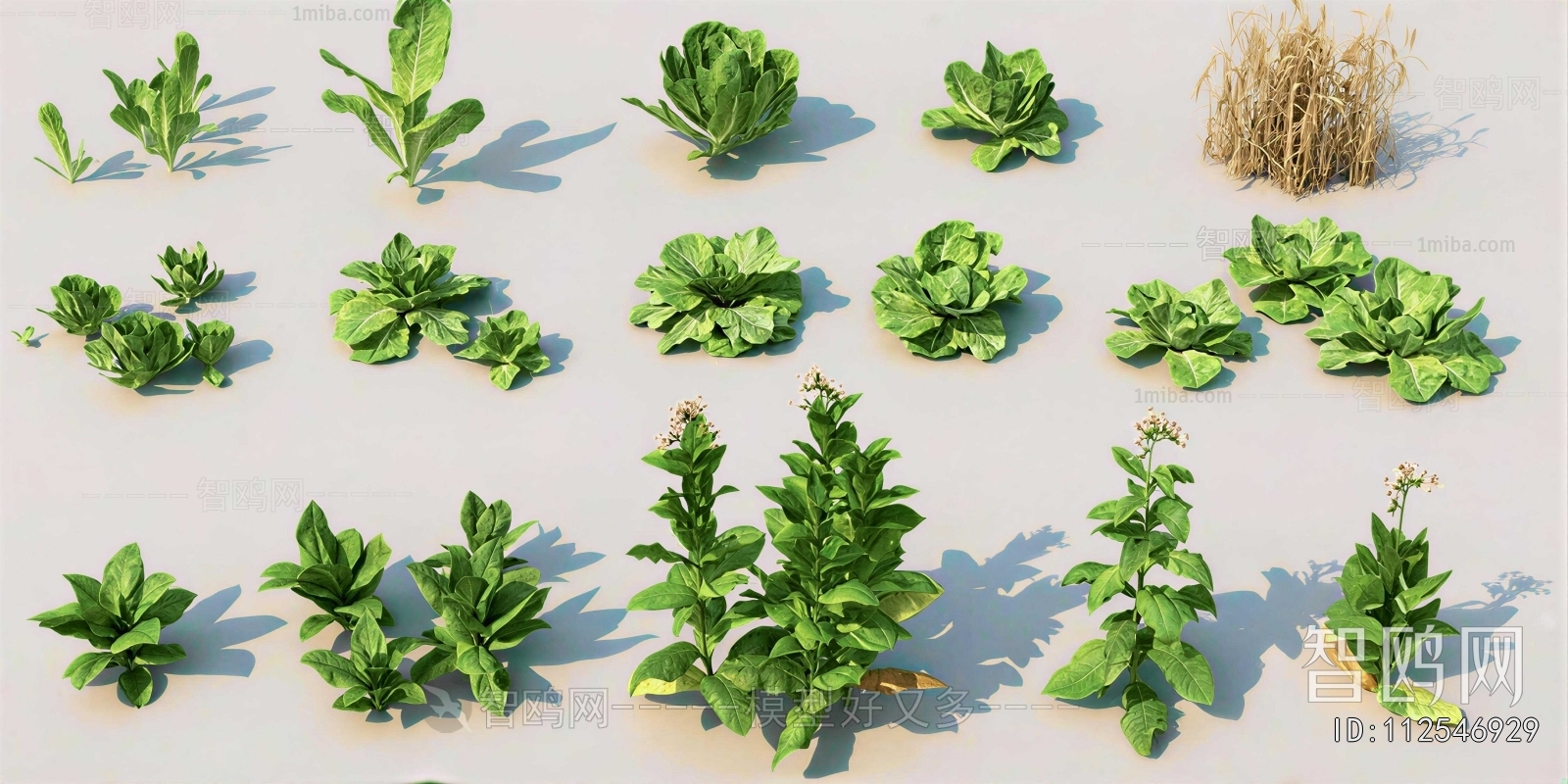 Modern Crop