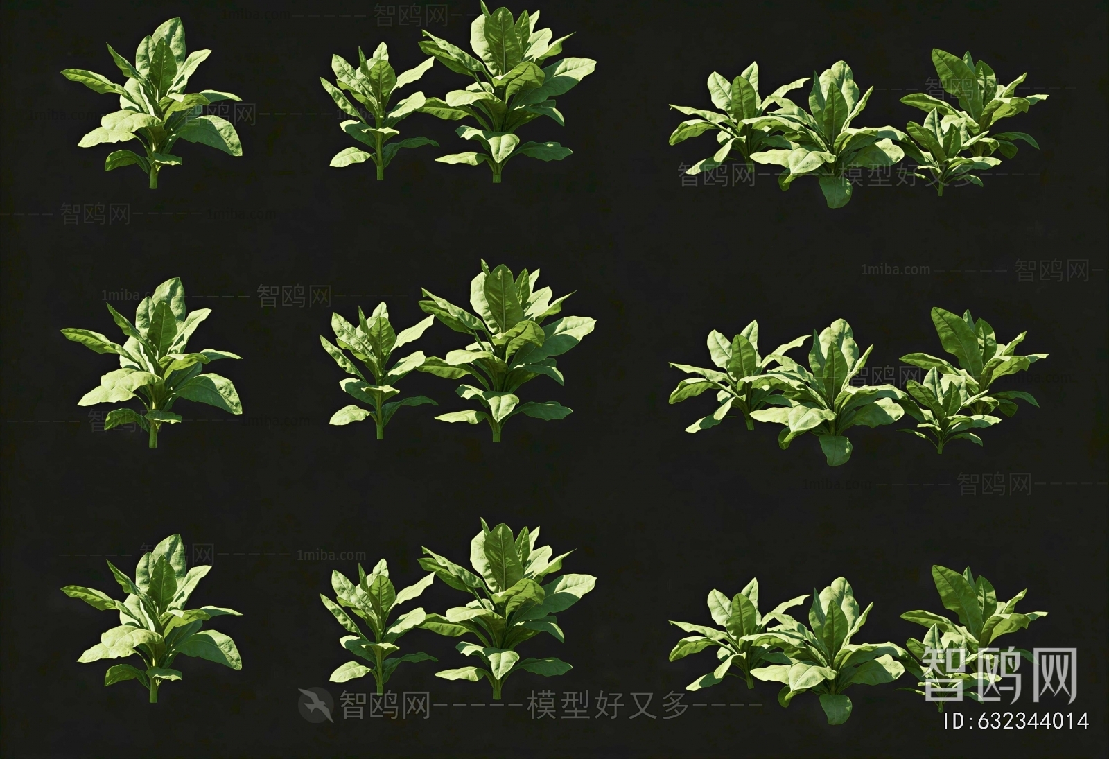 Modern Crop