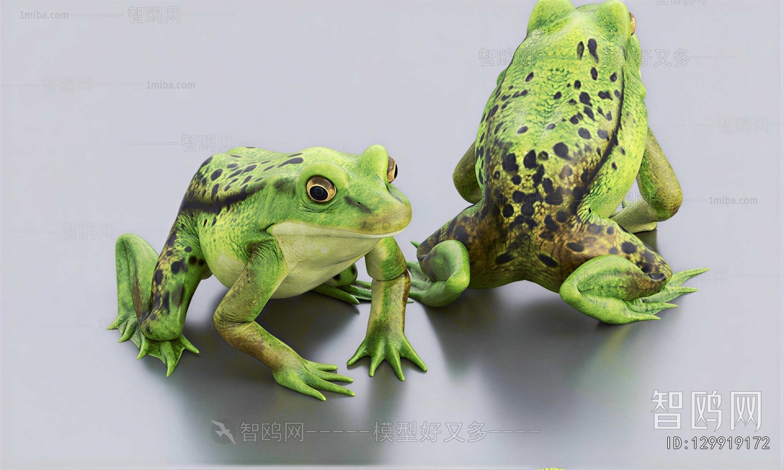 Modern Reptile