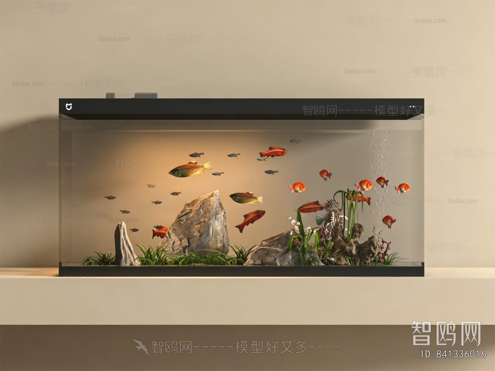 Modern Fish Tank