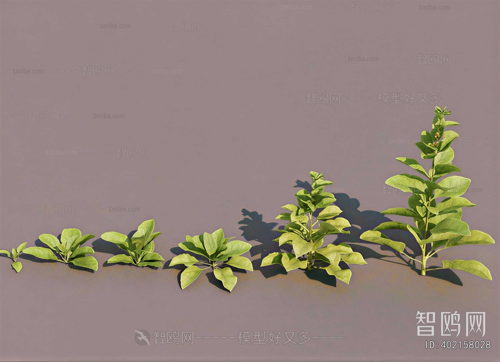 Modern The Grass