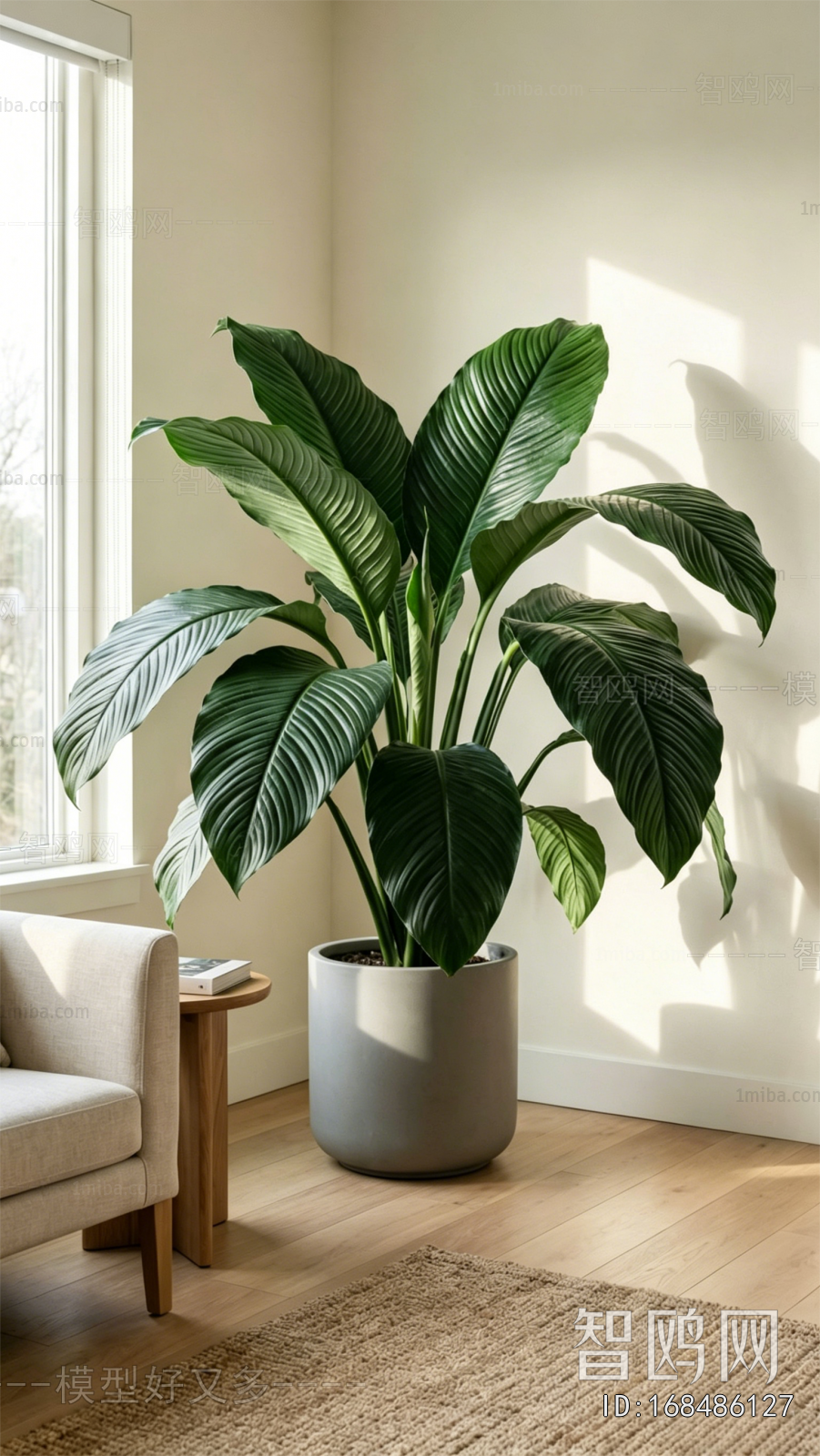 Modern Ground Green Plant Potted Plants