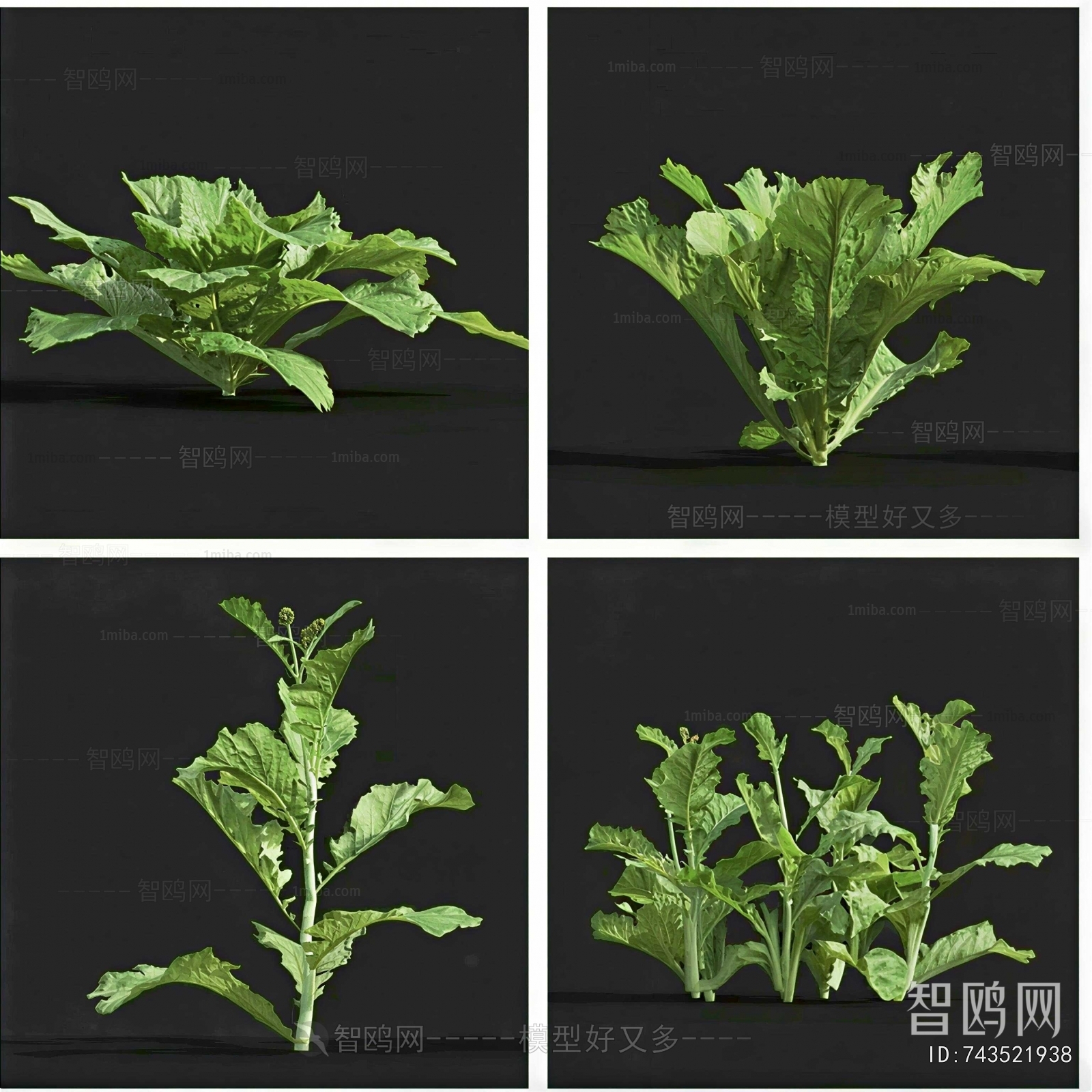 Modern Crop