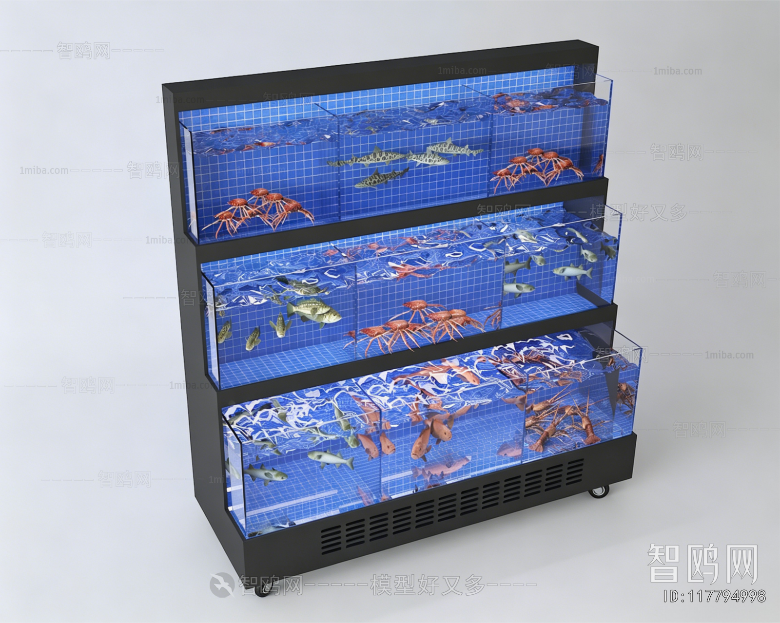 Modern Fish Tank