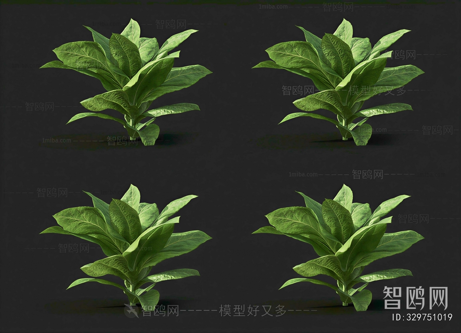 Modern Crop