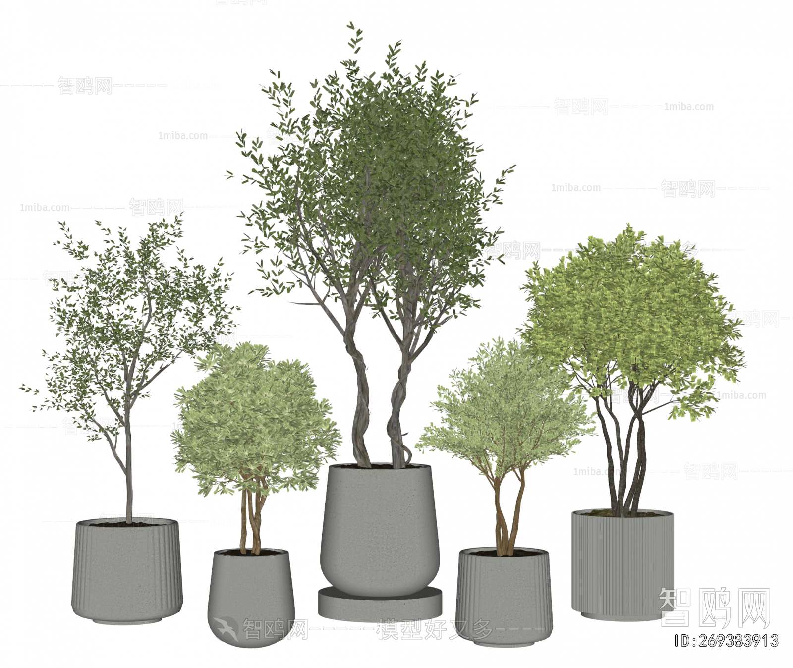 Modern Ground Green Plant Potted Plants