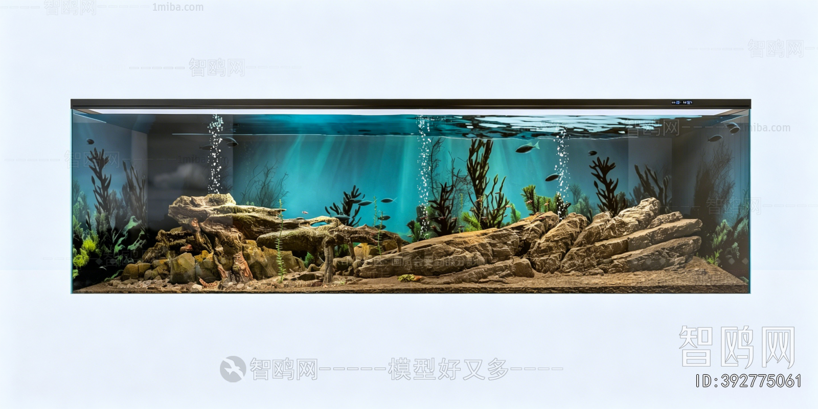 Modern Fish Tank