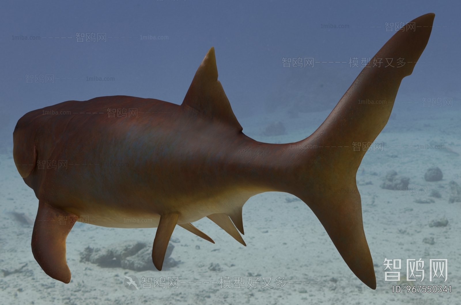 Modern Aquatic Animals