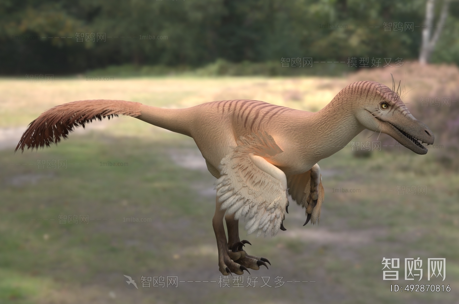 Modern Other Animals