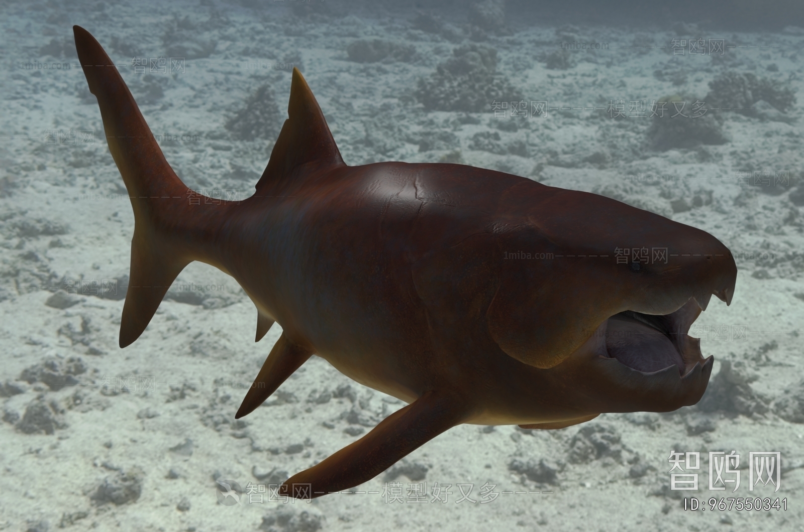 Modern Aquatic Animals