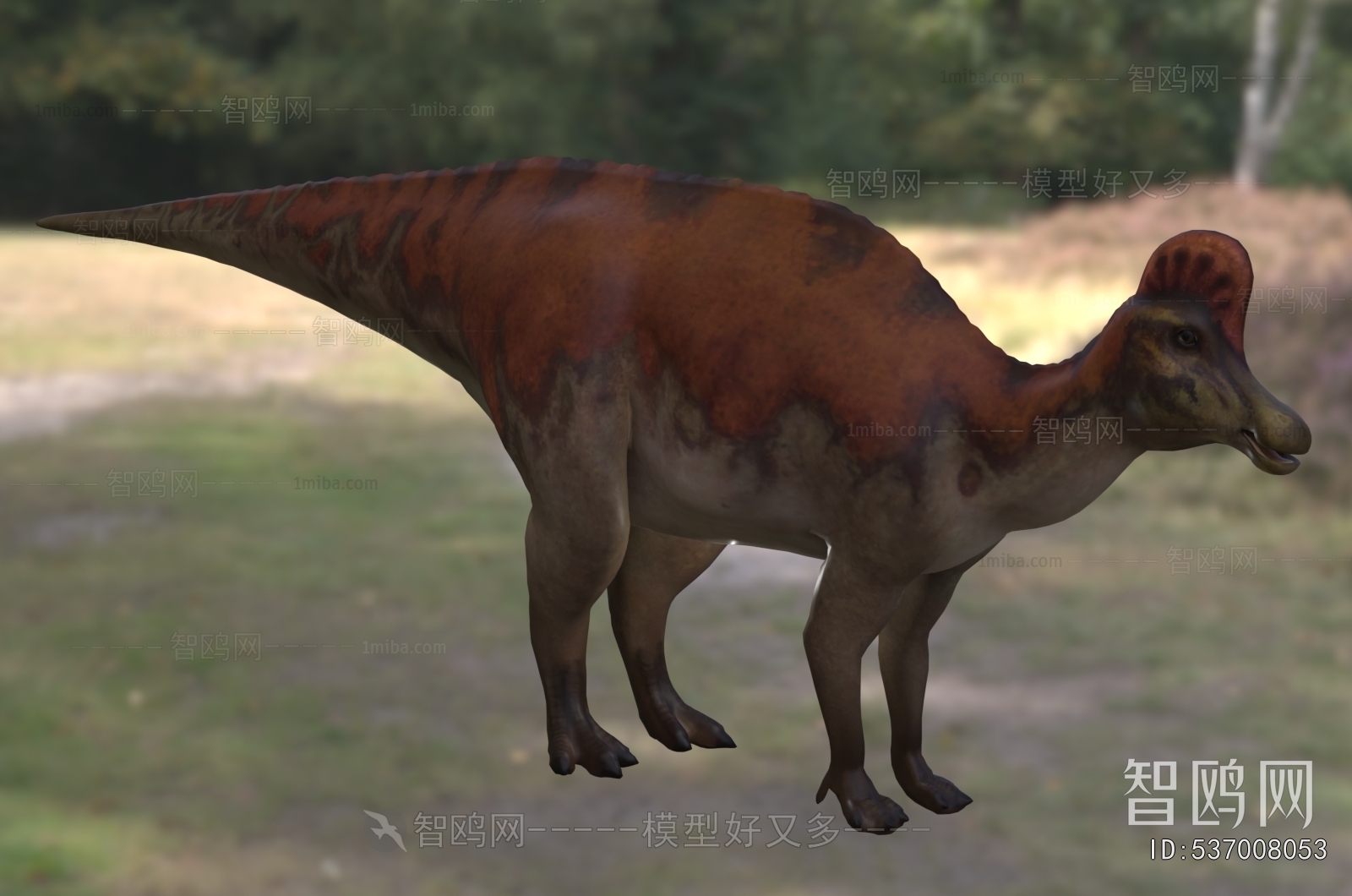 Modern Other Animals