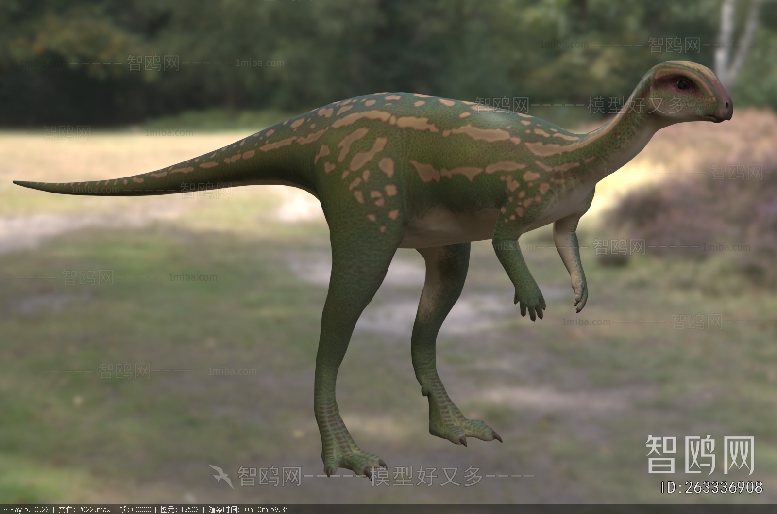 Modern Other Animals
