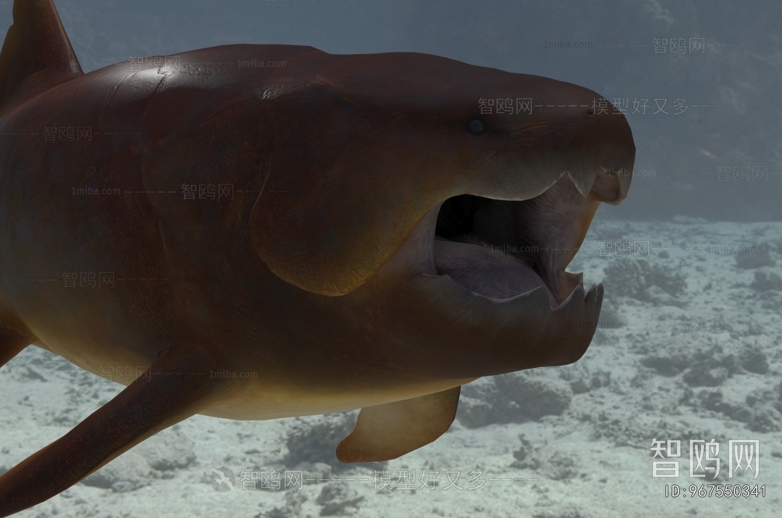 Modern Aquatic Animals