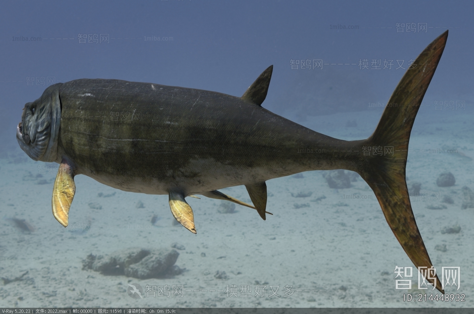 Modern Aquatic Animals