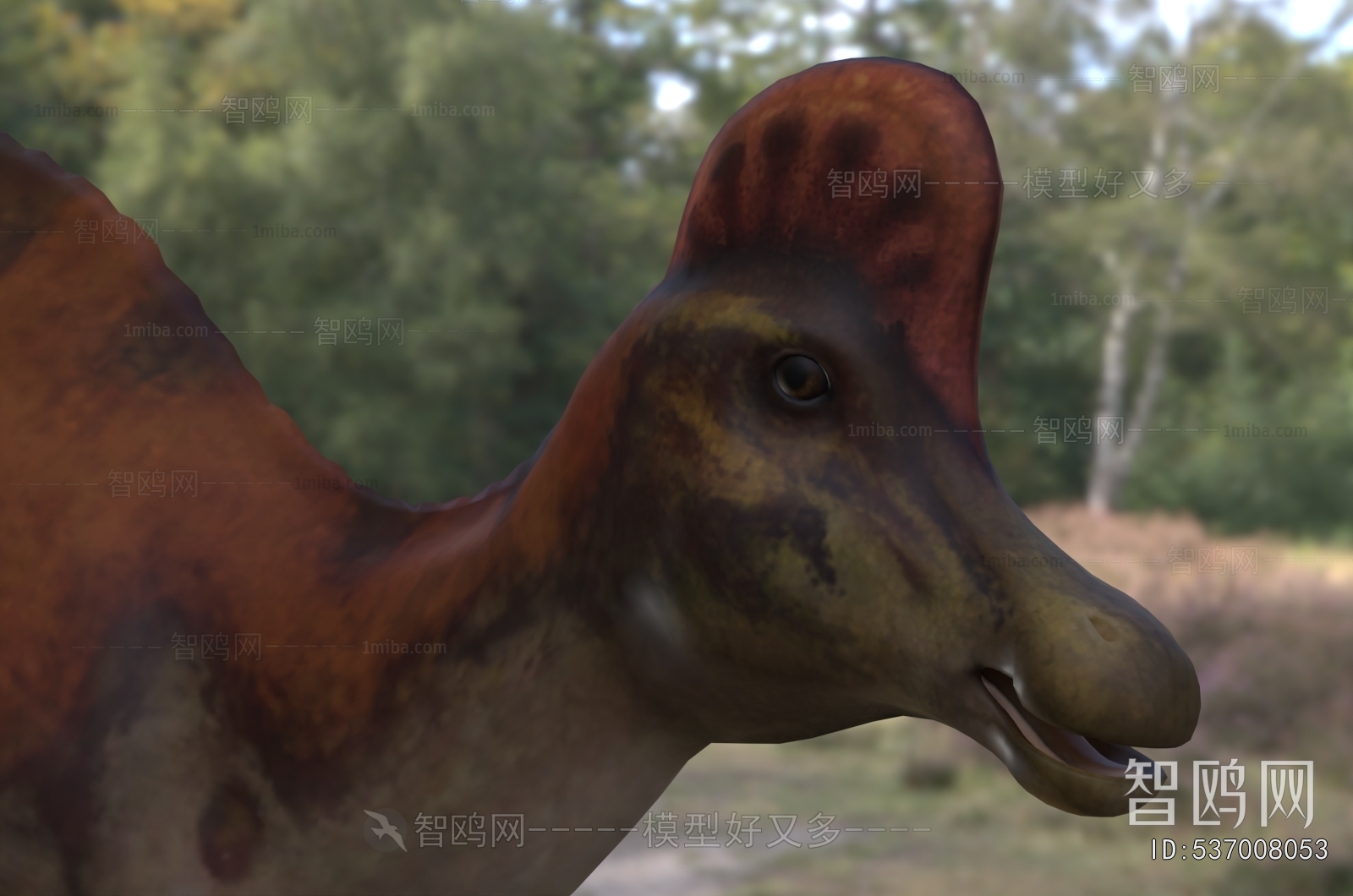 Modern Other Animals