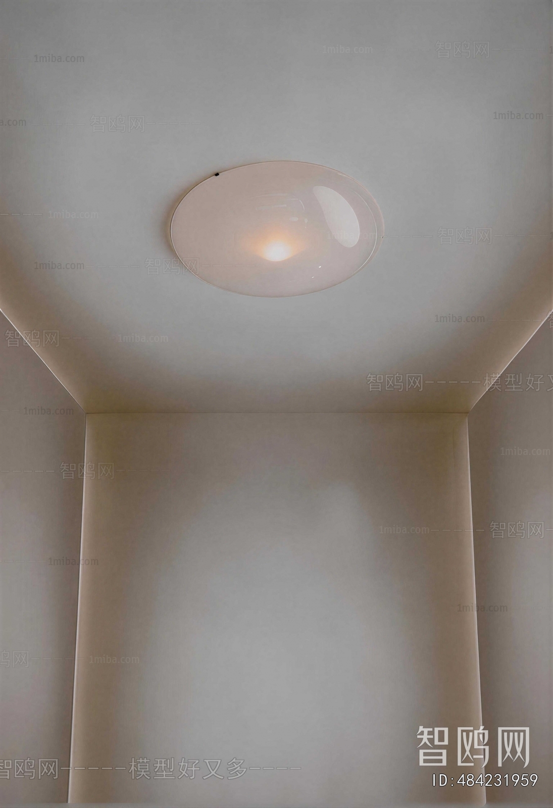 Modern Ceiling Ceiling Lamp