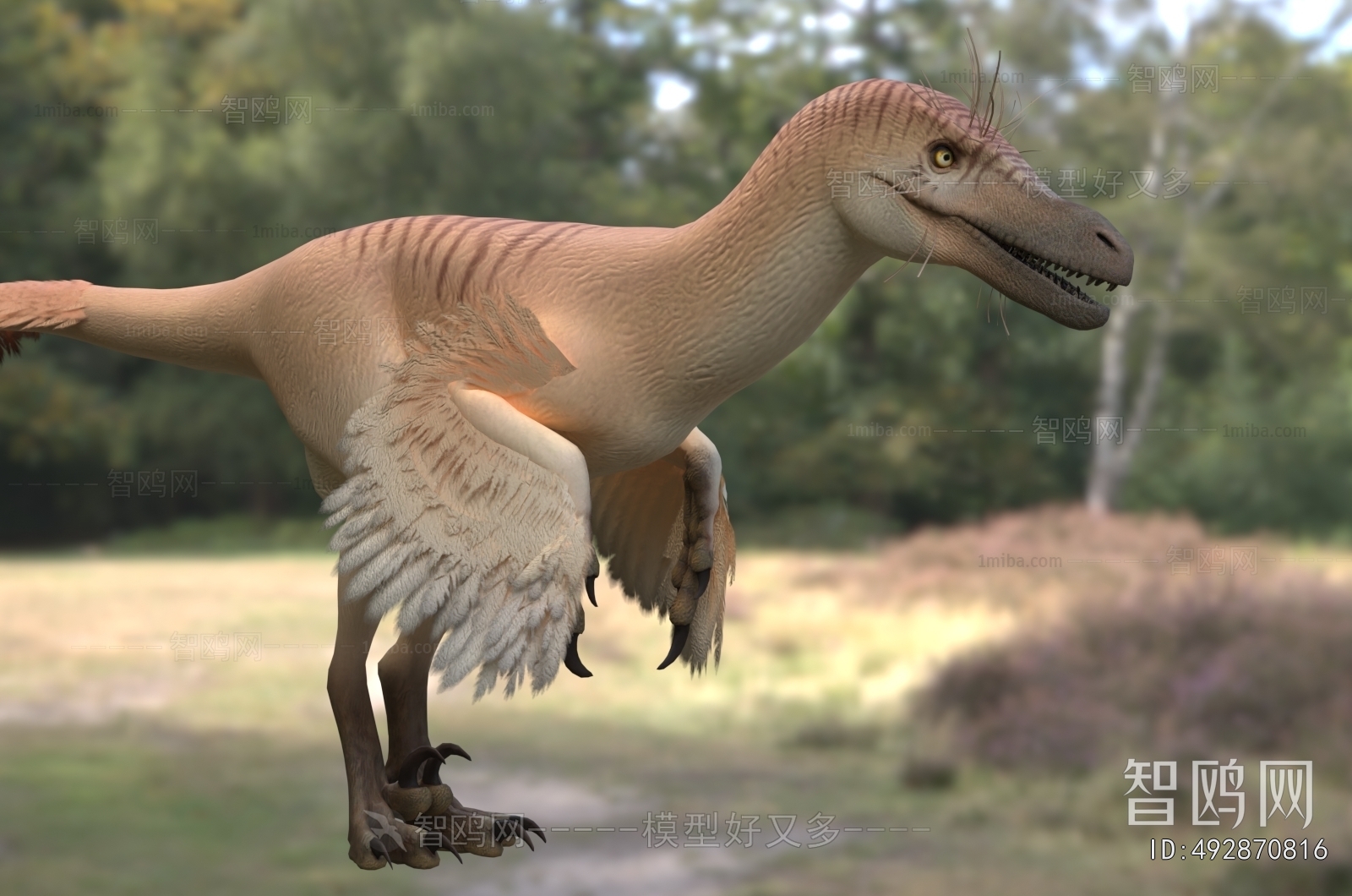 Modern Other Animals