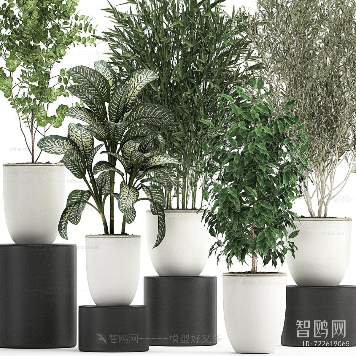 Modern Ground Green Plant Potted Plants