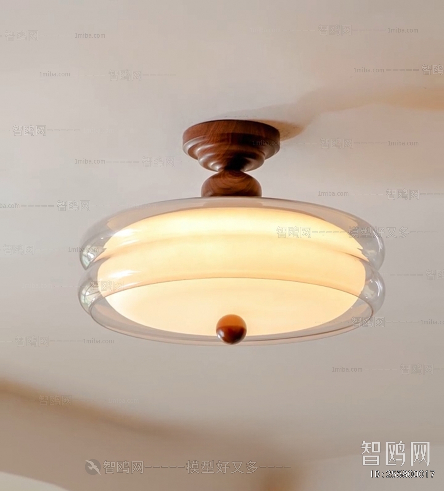 Modern Ceiling Ceiling Lamp