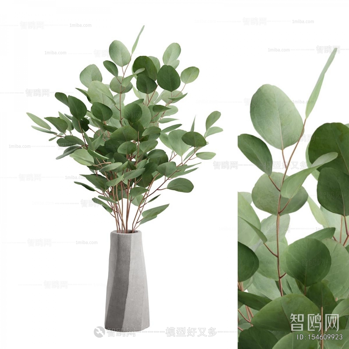 Modern Aquatic Green Plant
