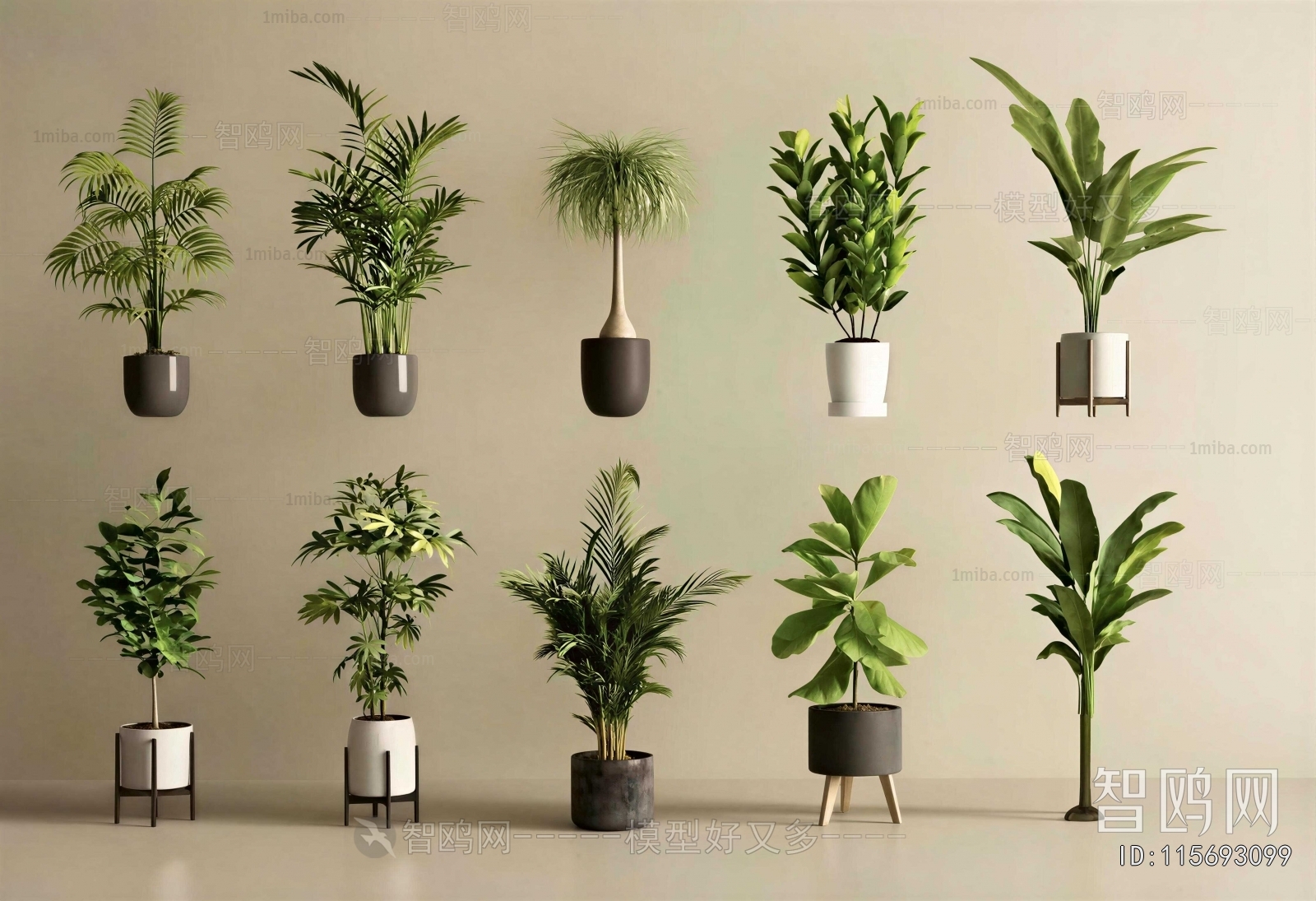 Modern Ground Green Plant Potted Plants