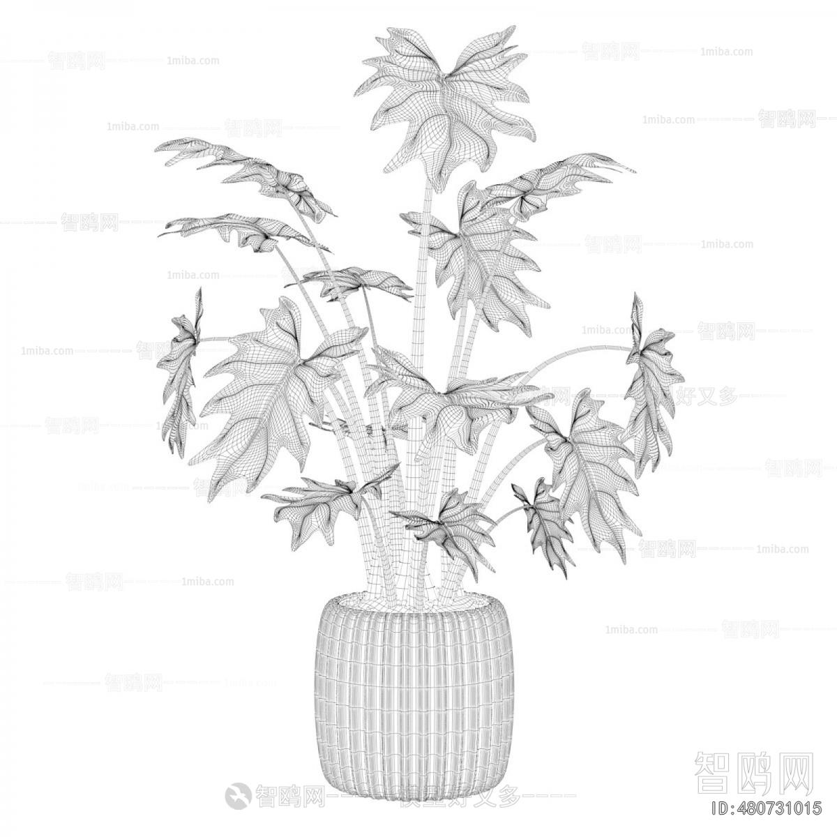 Modern Potted Green Plant