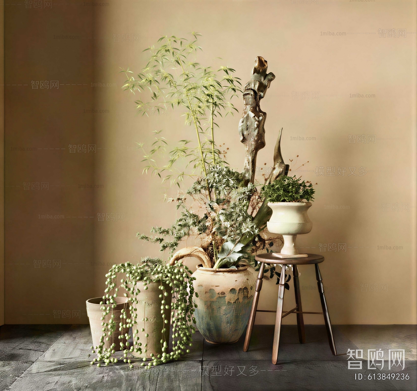 Wabi-sabi Style Potted Green Plant
