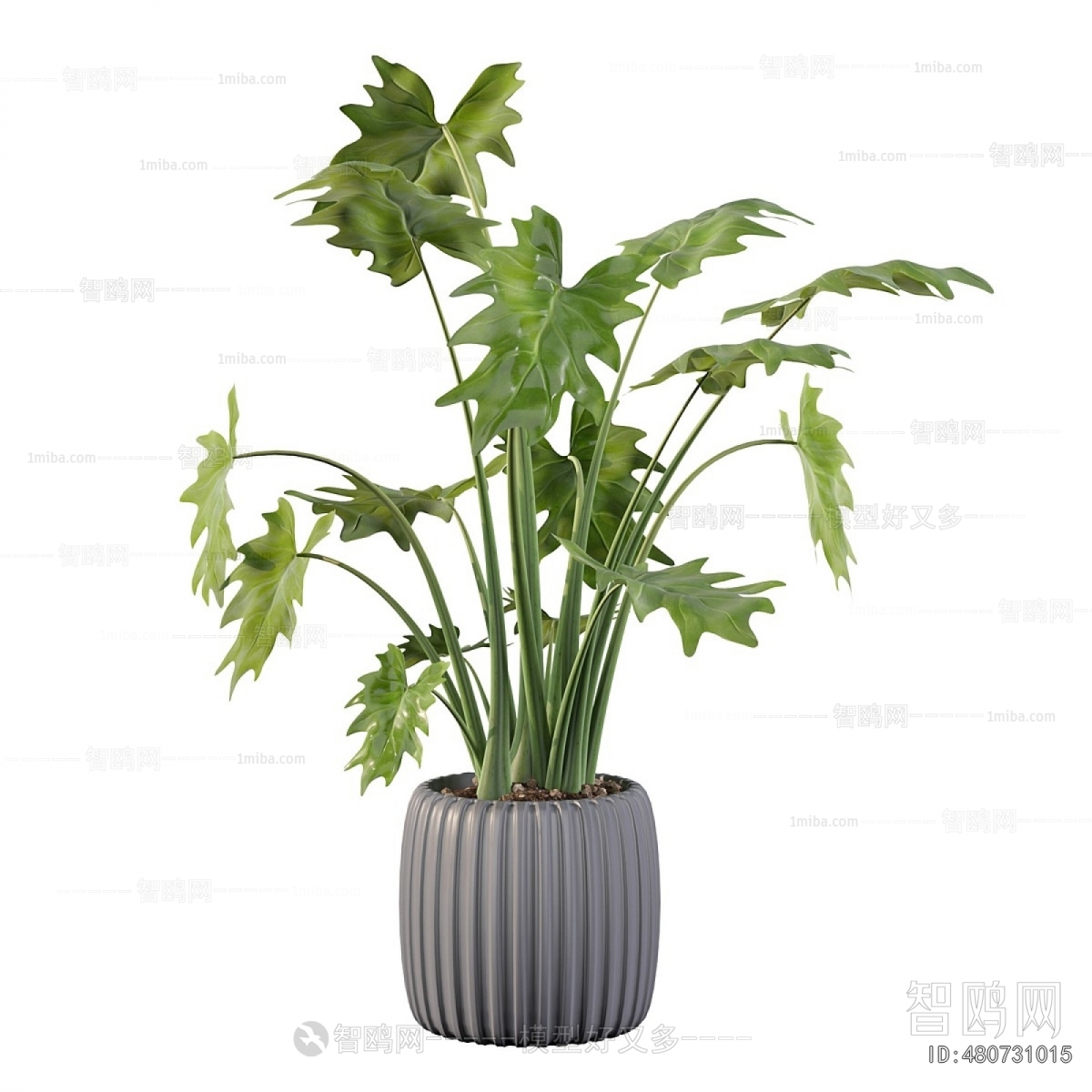 Modern Potted Green Plant