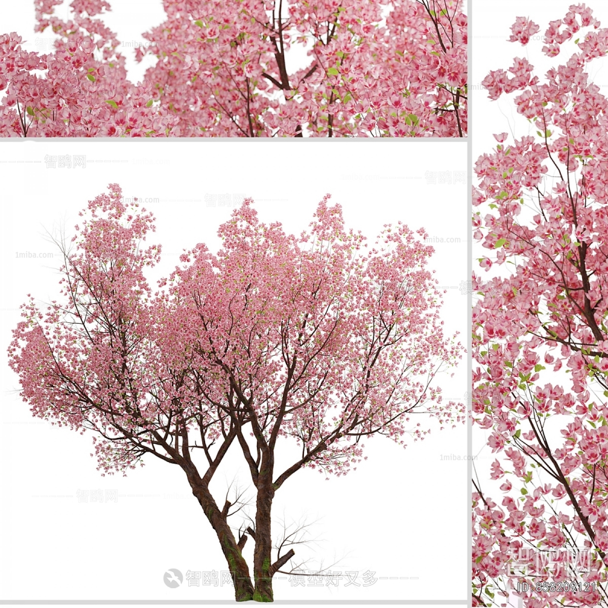 Modern Tree
