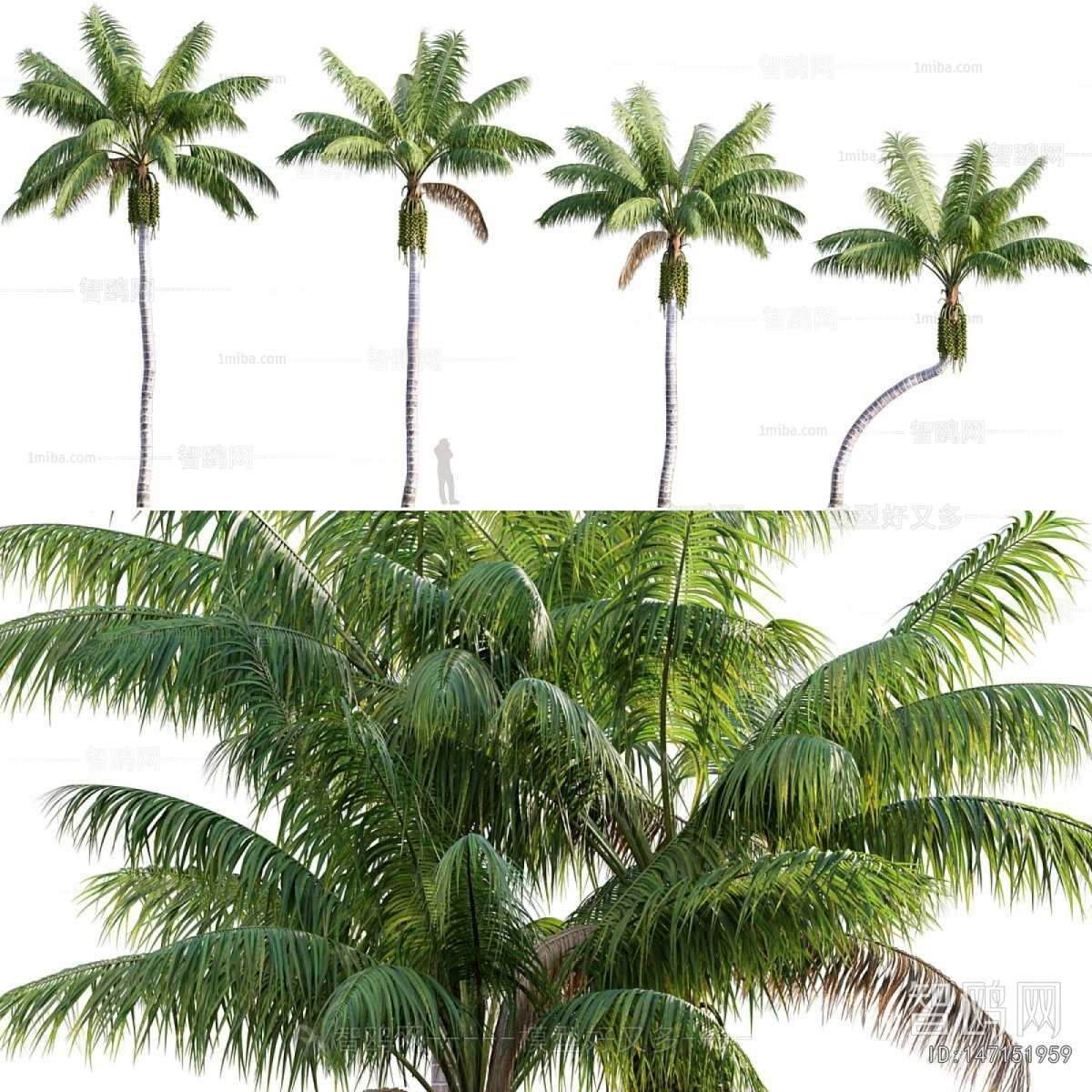 Modern Tree