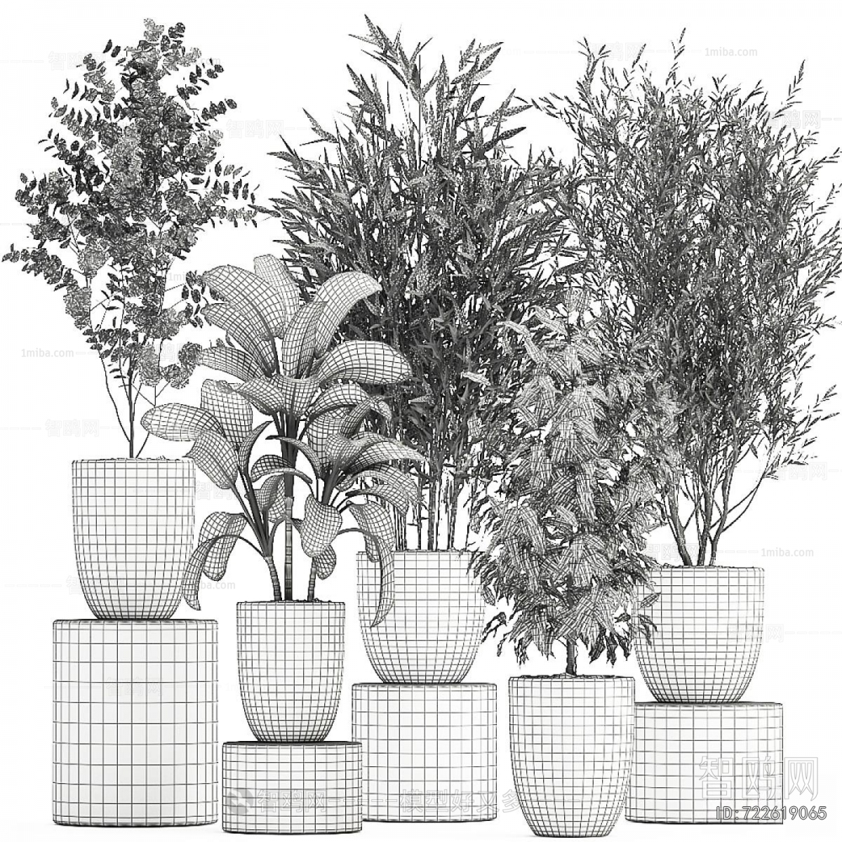 Modern Ground Green Plant Potted Plants