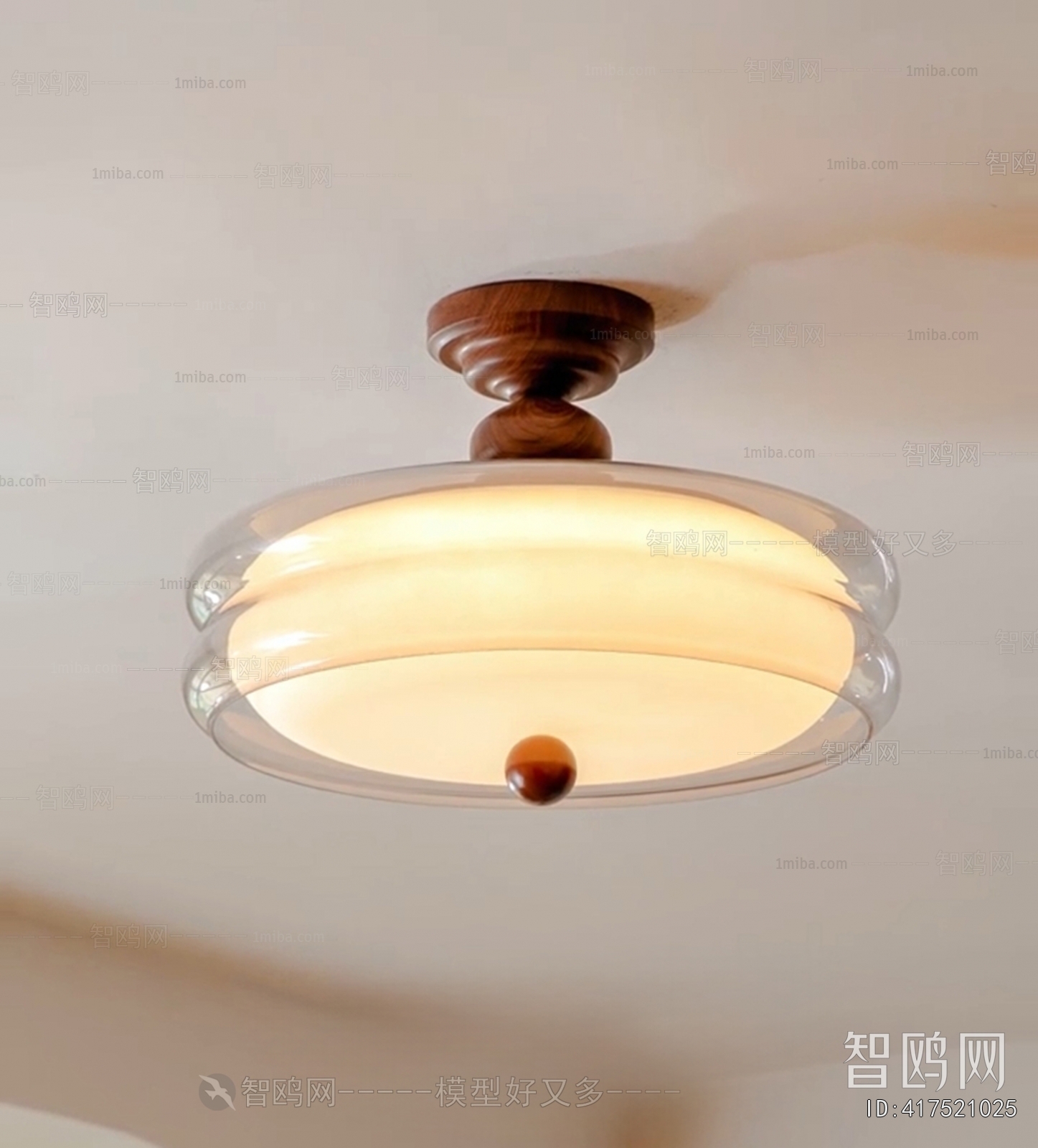 Modern Ceiling Ceiling Lamp