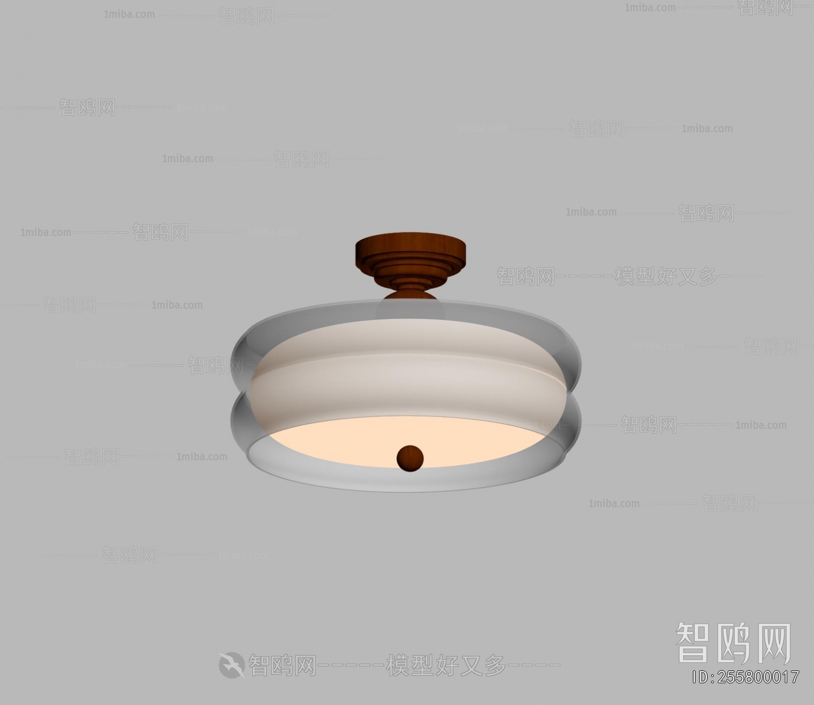 Modern Ceiling Ceiling Lamp