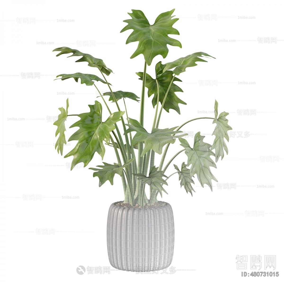 Modern Potted Green Plant