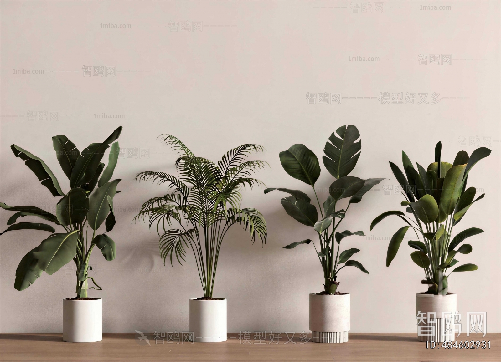 Modern Ground Green Plant Potted Plants