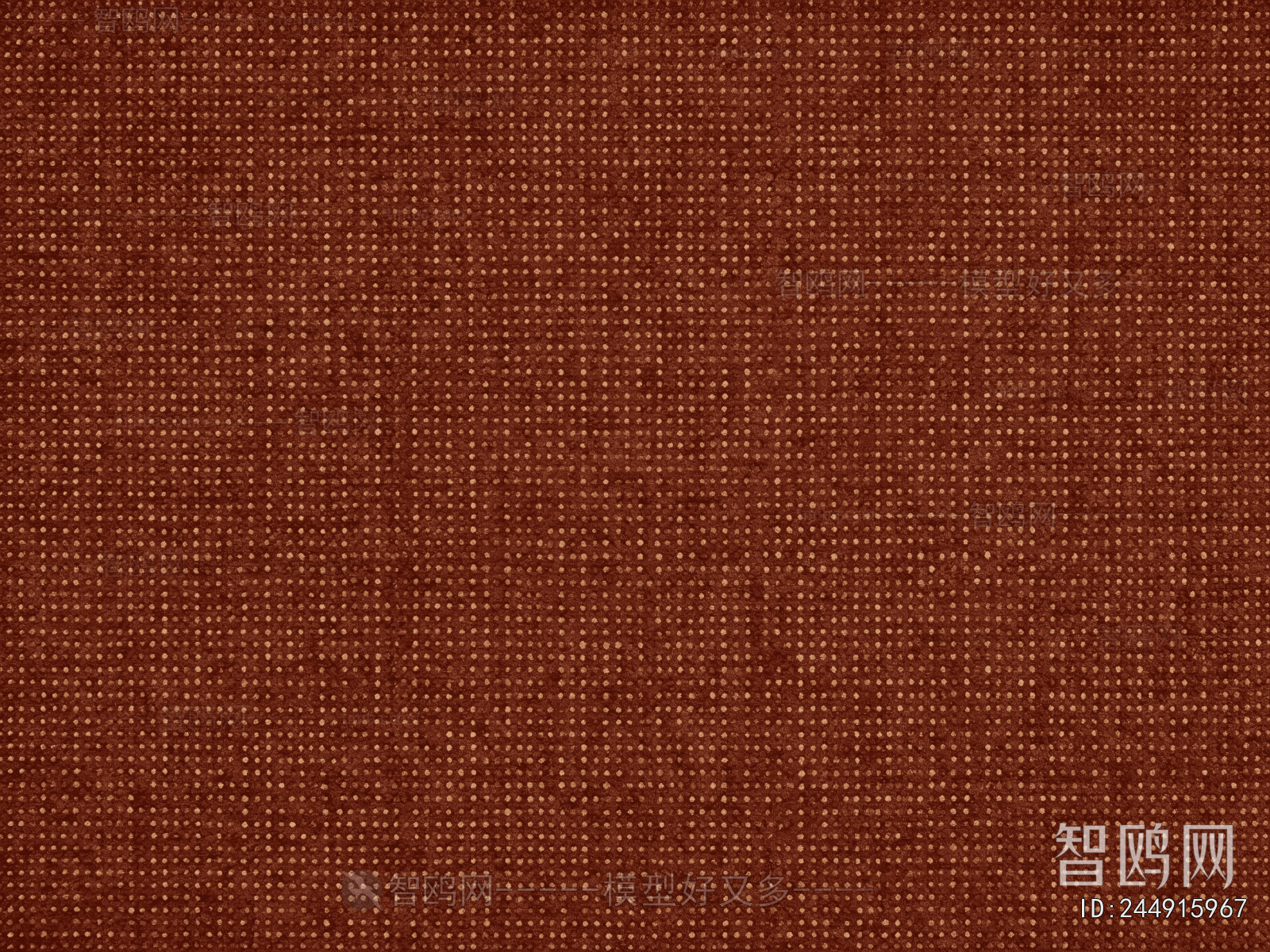 Chinese Carpet