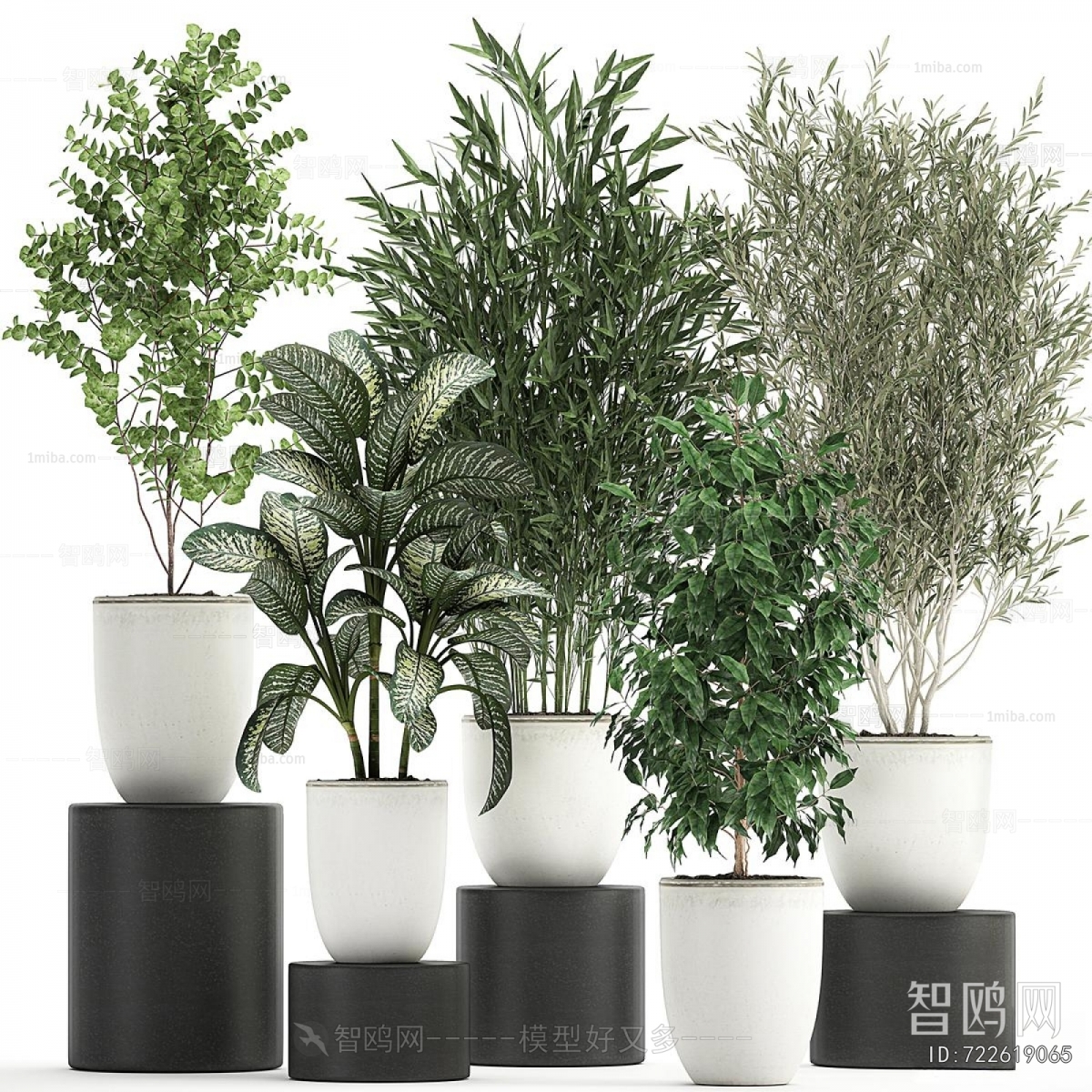 Modern Ground Green Plant Potted Plants